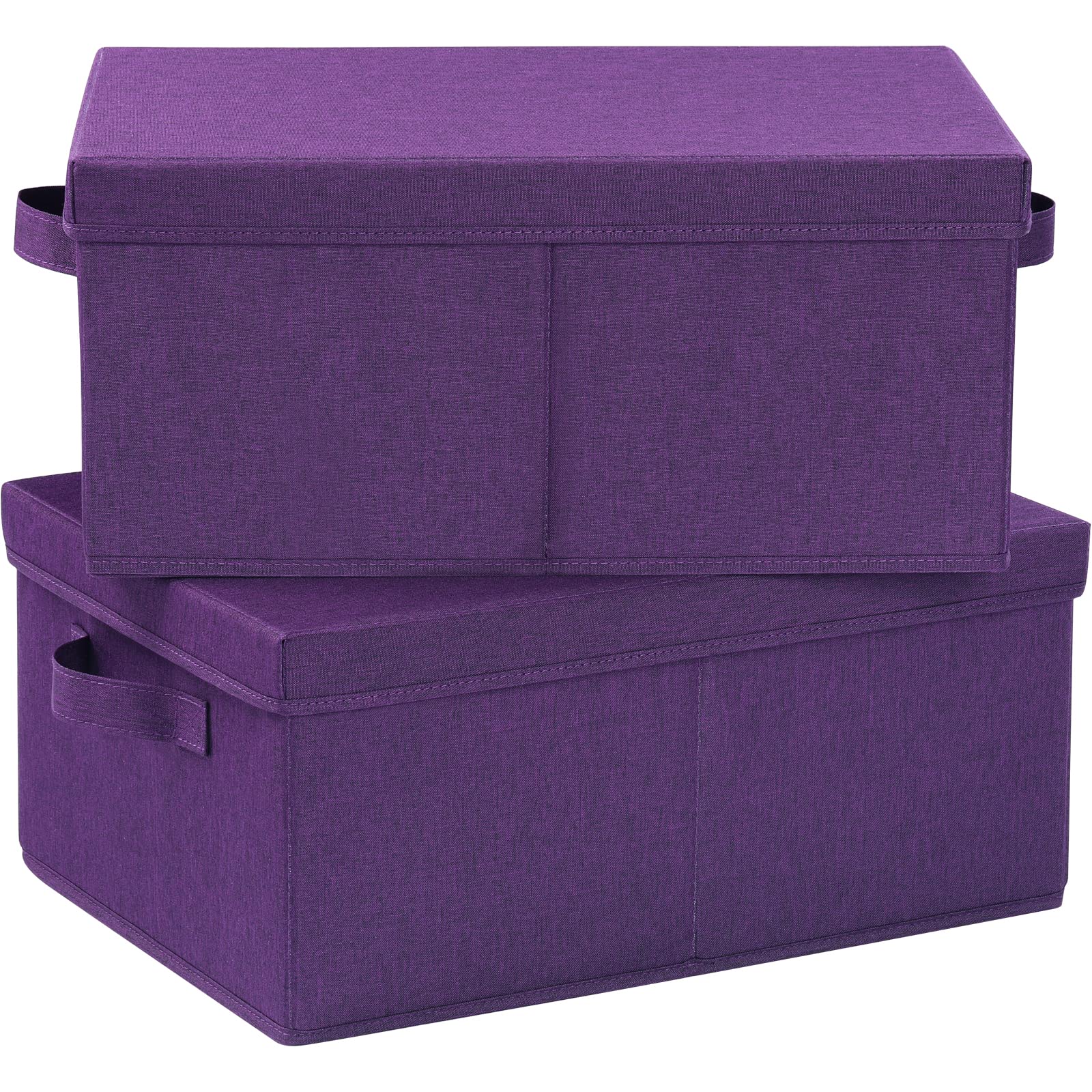 Storage Bins with Lids for Organizing (2 Count)