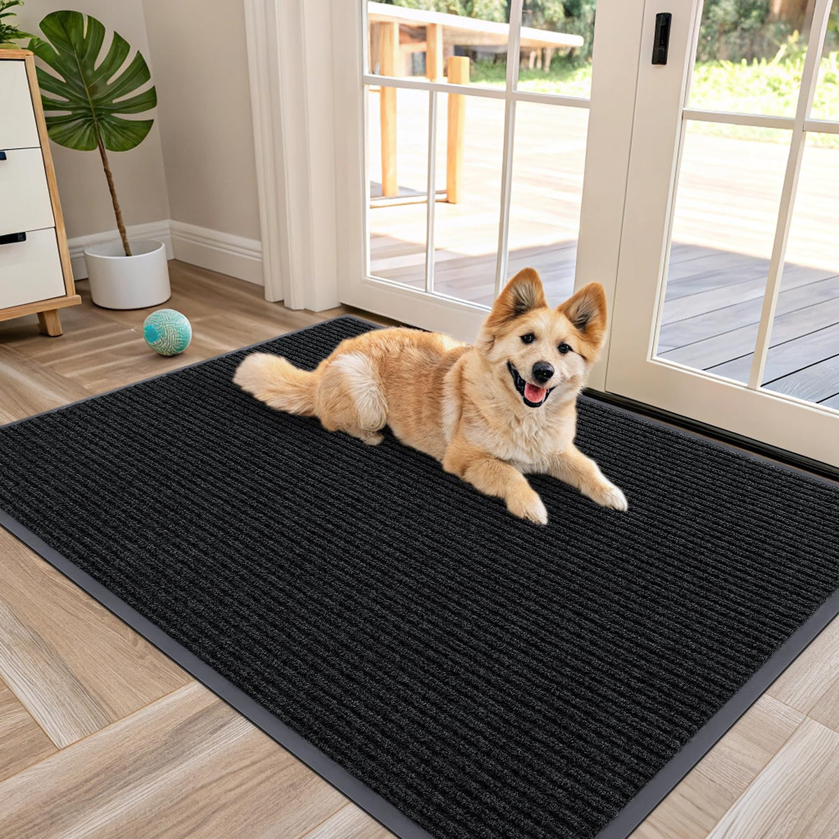 Front Door Mat 47x30
