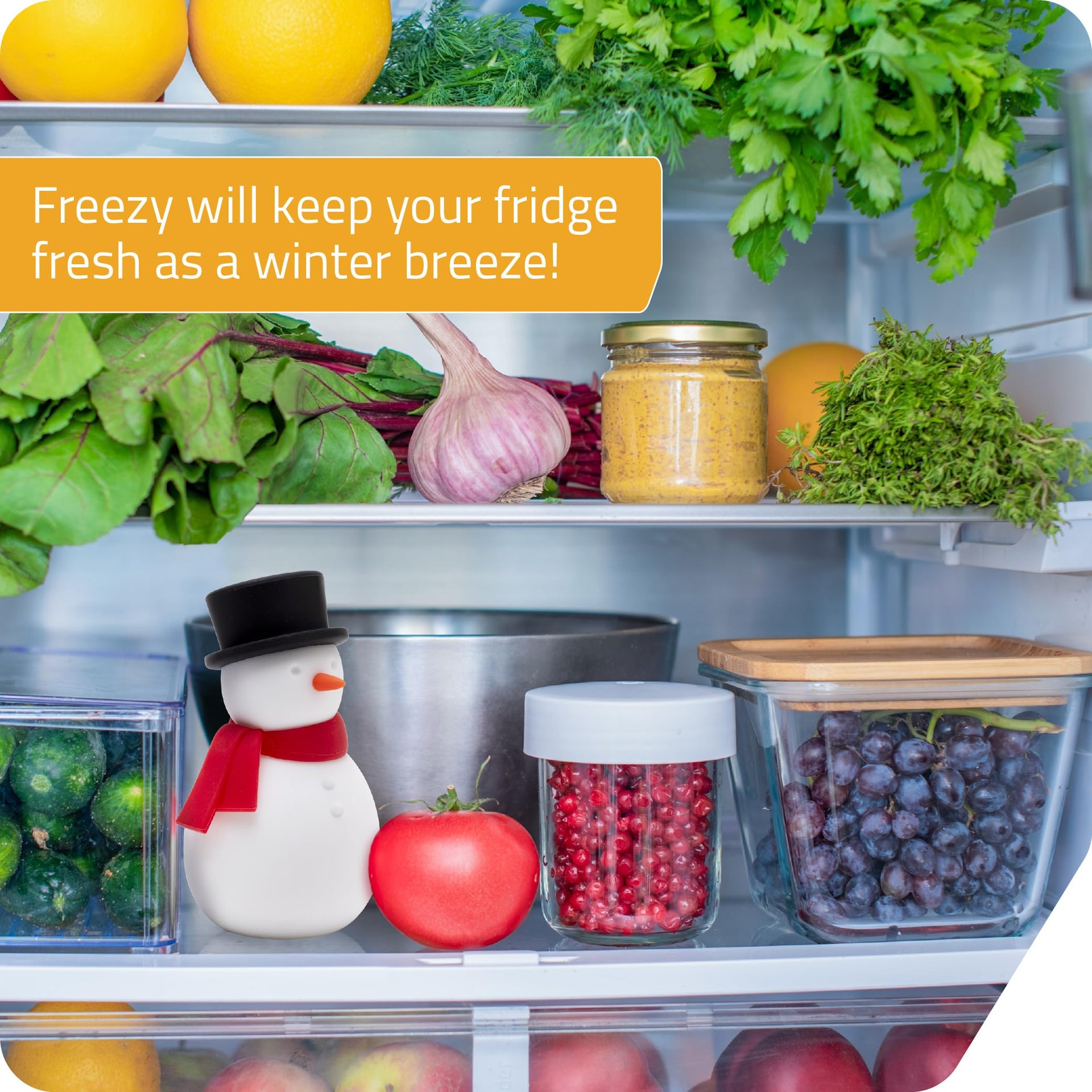 NEW Peleg Design Freezy Fridge Deodorizer Odor Eliminator
