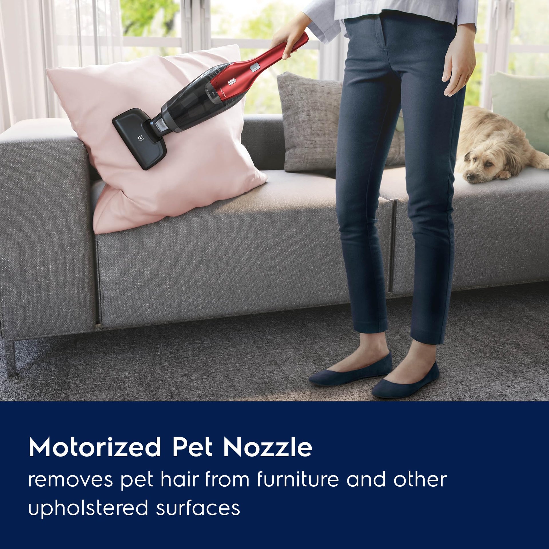 Ergorapido Pet Cordless 2