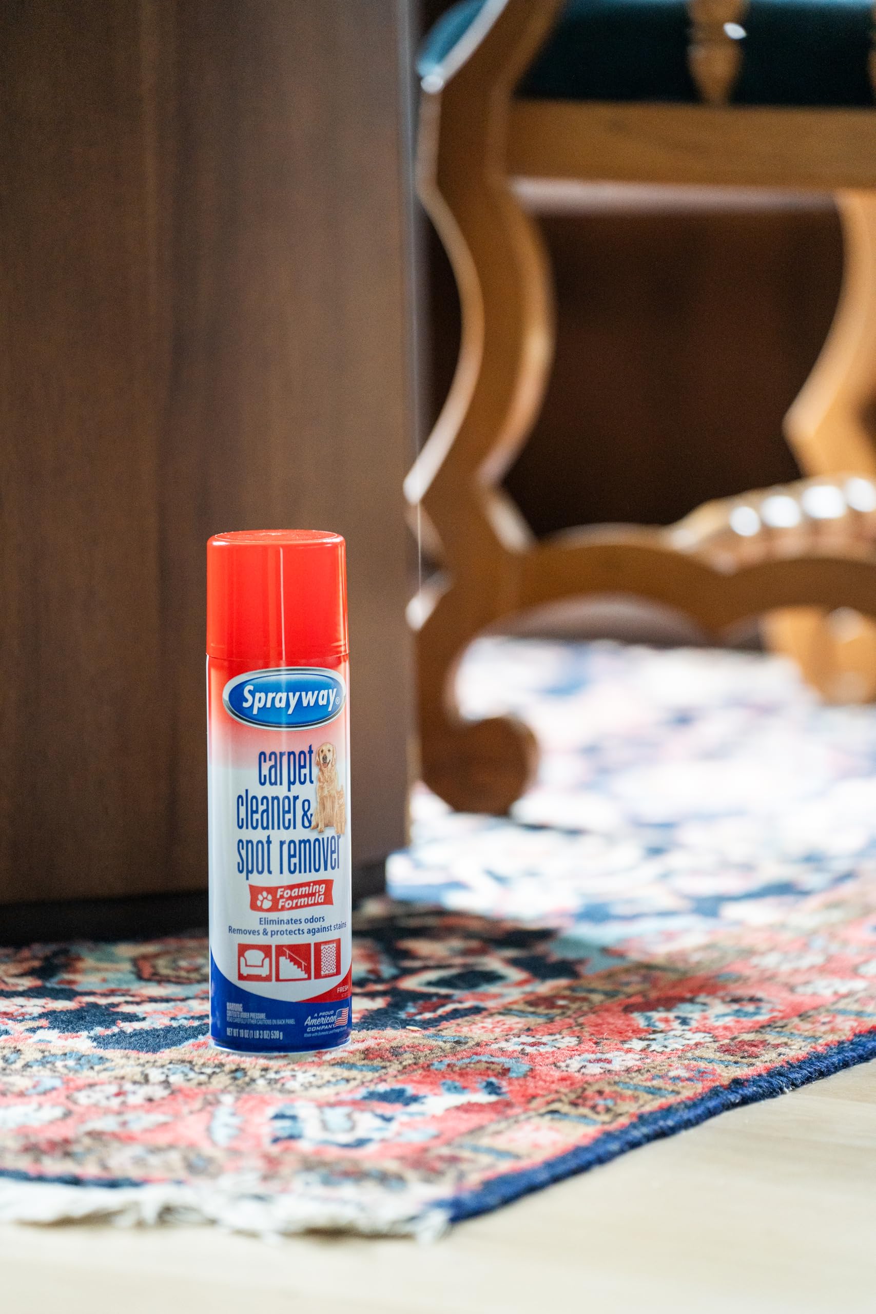 Carpet Cleaner (19 Ounce) - ModHome Supplies