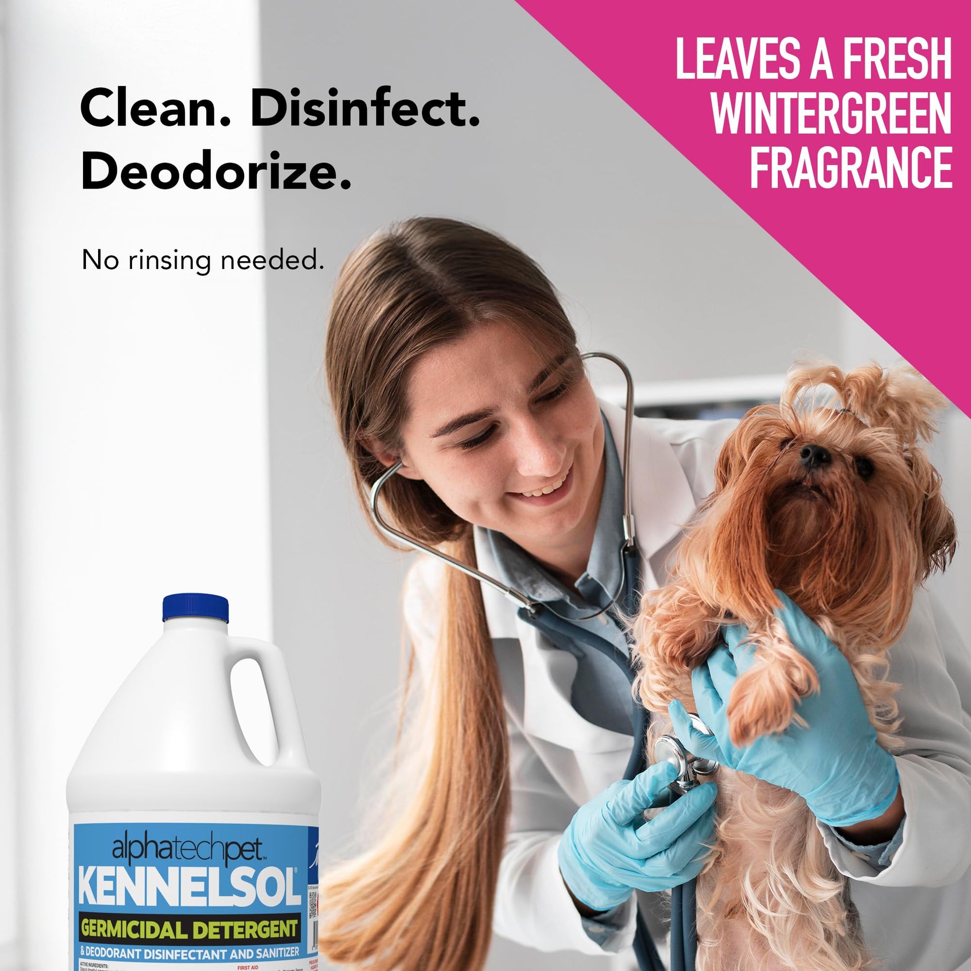 KennelSol Disinfectant & Cleaner for Kennels (512 Fl Oz) - ModHome Supplies