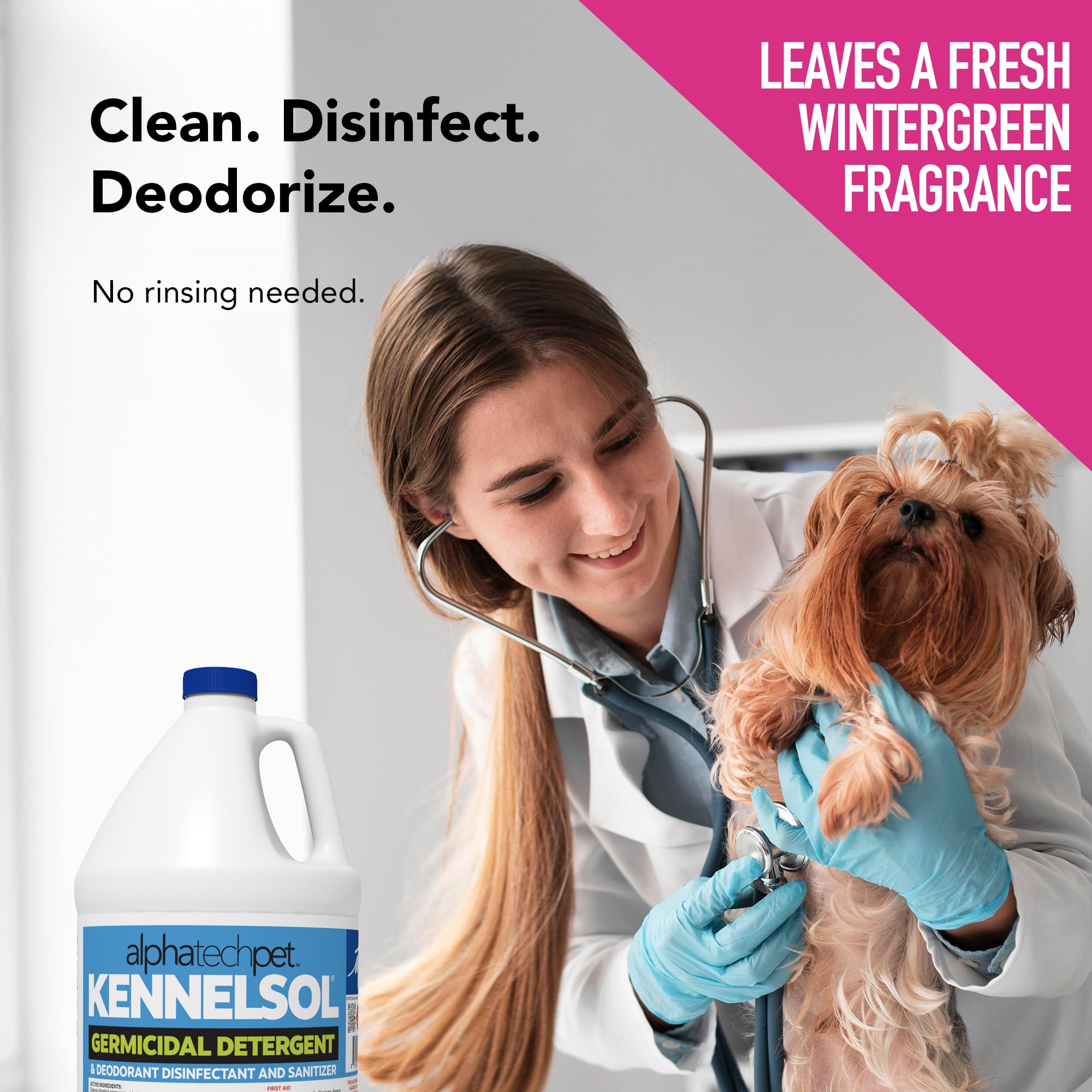 KennelSol Disinfectant & Cleaner for Kennels (512 Fl Oz) - ModHome Supplies