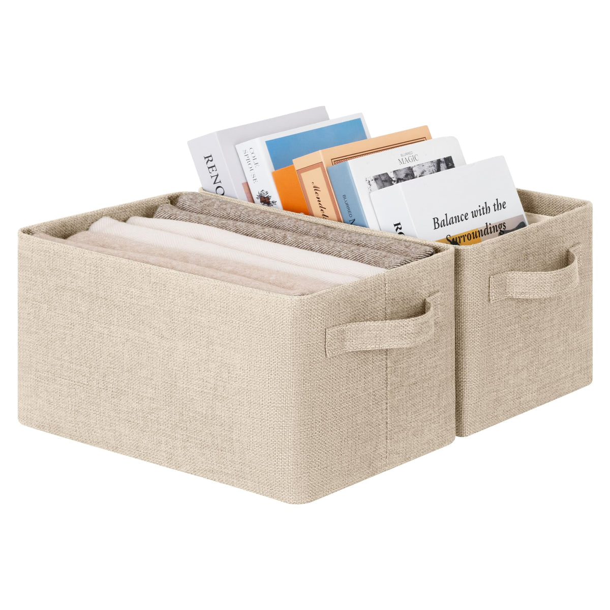 Storage Bins for Closet (2 Count)