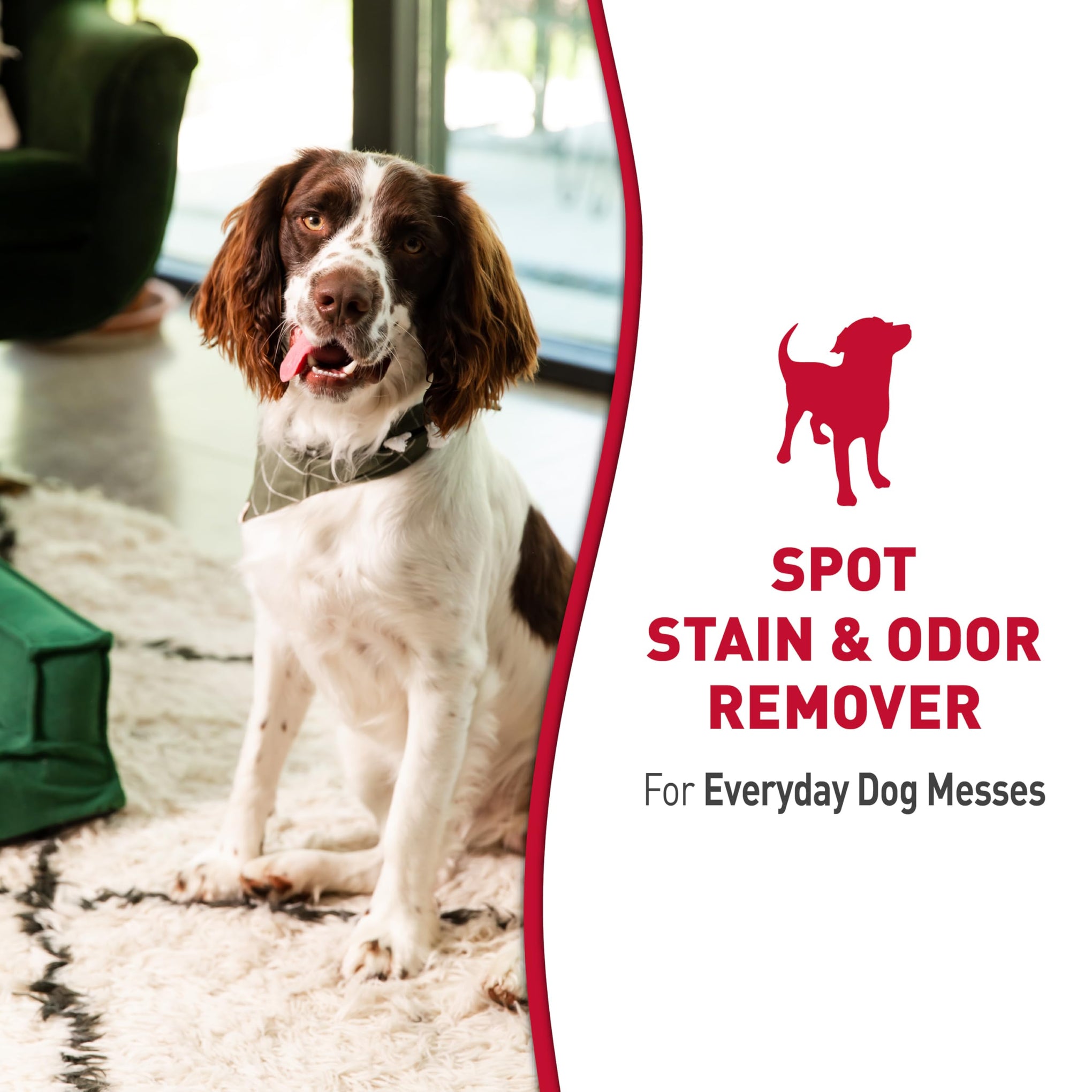 Nature’s Miracle Dog Stain & Odor Remover (32 Fl Oz)