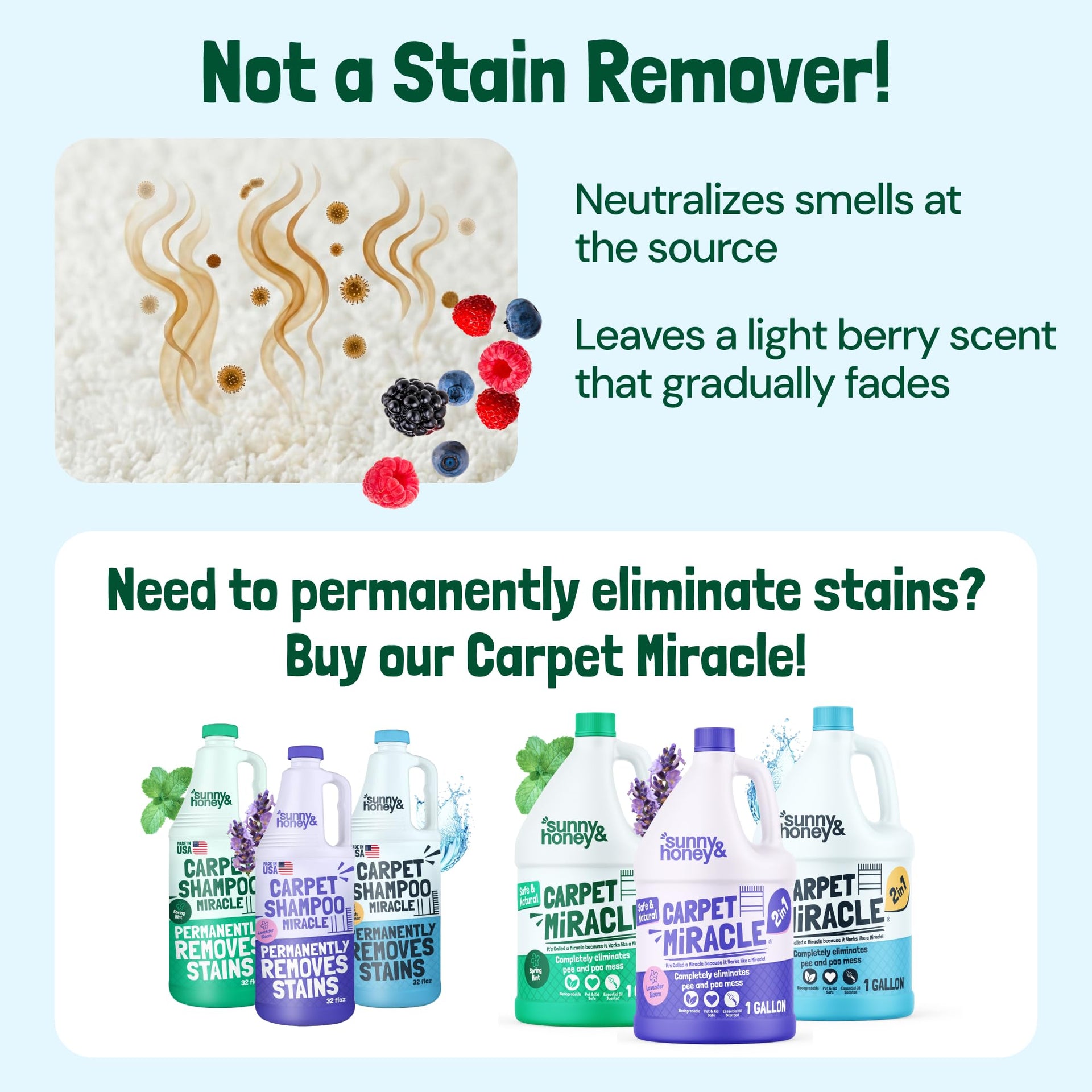 Carpet Deodorizer Powder (20 Ounce)