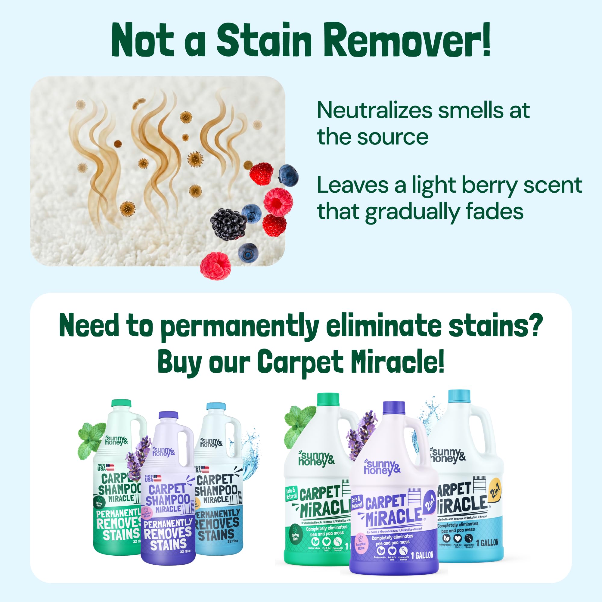Carpet Deodorizer Powder (20 Ounce)