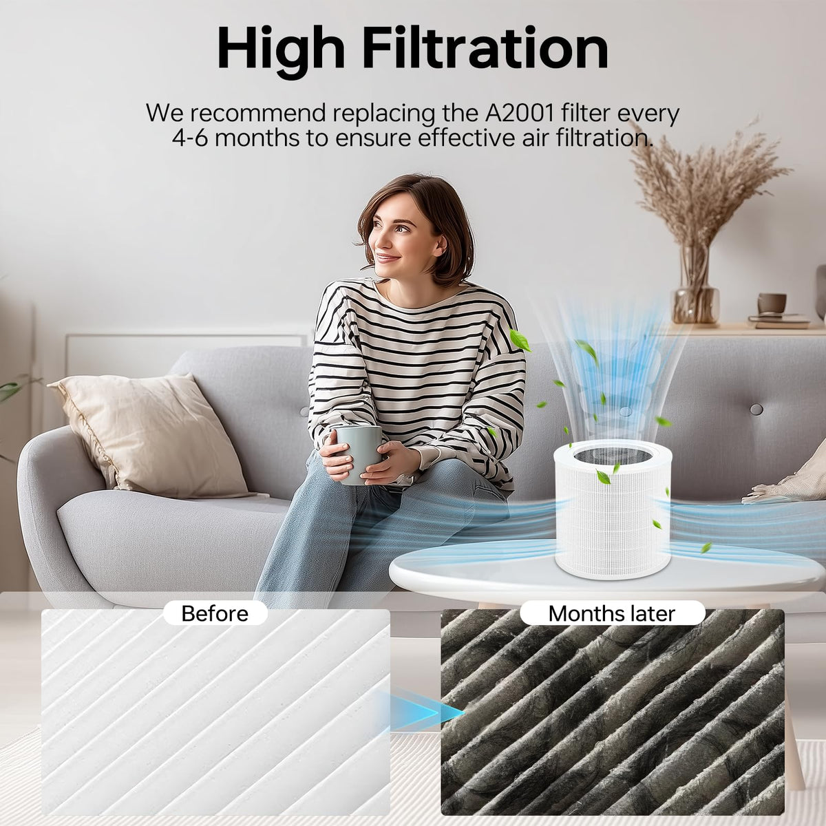 2 Pack A2001 Replacement Filter Compatible with A2001 Air Purifier (2 Count)