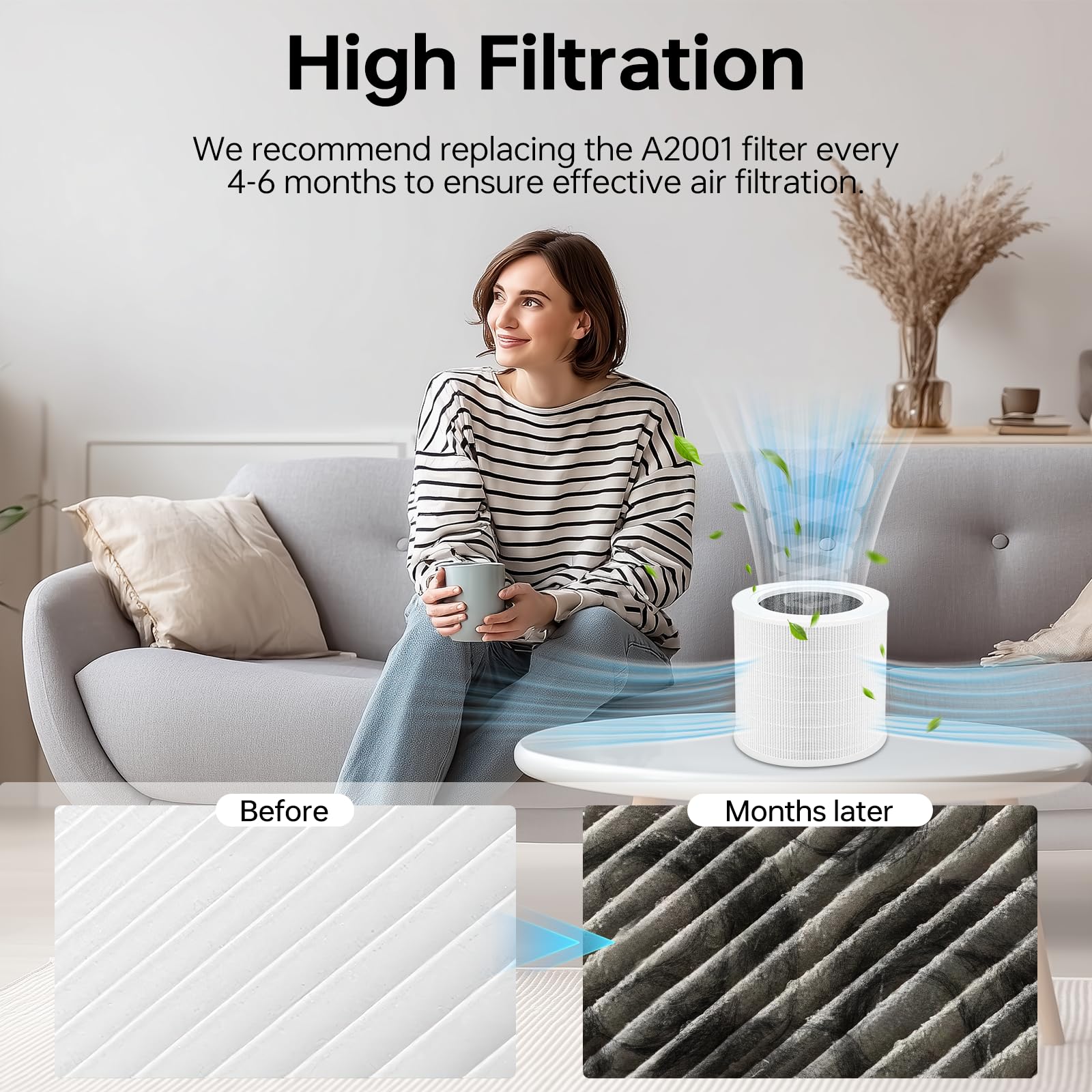 2 Pack A2001 Replacement Filter Compatible with A2001 Air Purifier (2 Count)