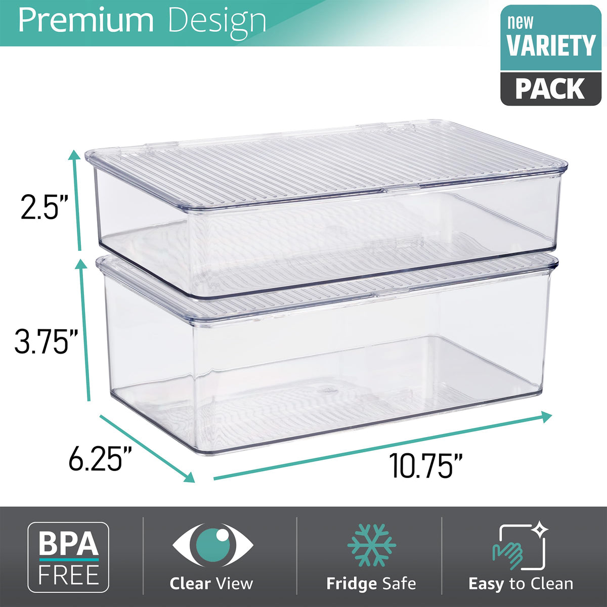 Sturdy Plastic Storage Bins with Lid (2 Count)