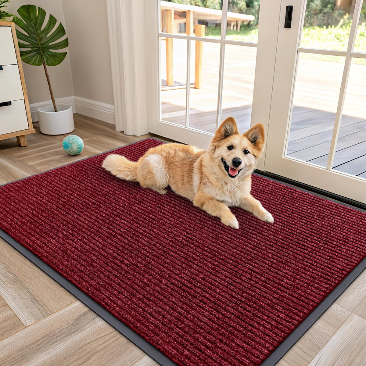 Front Door Mat 47x34