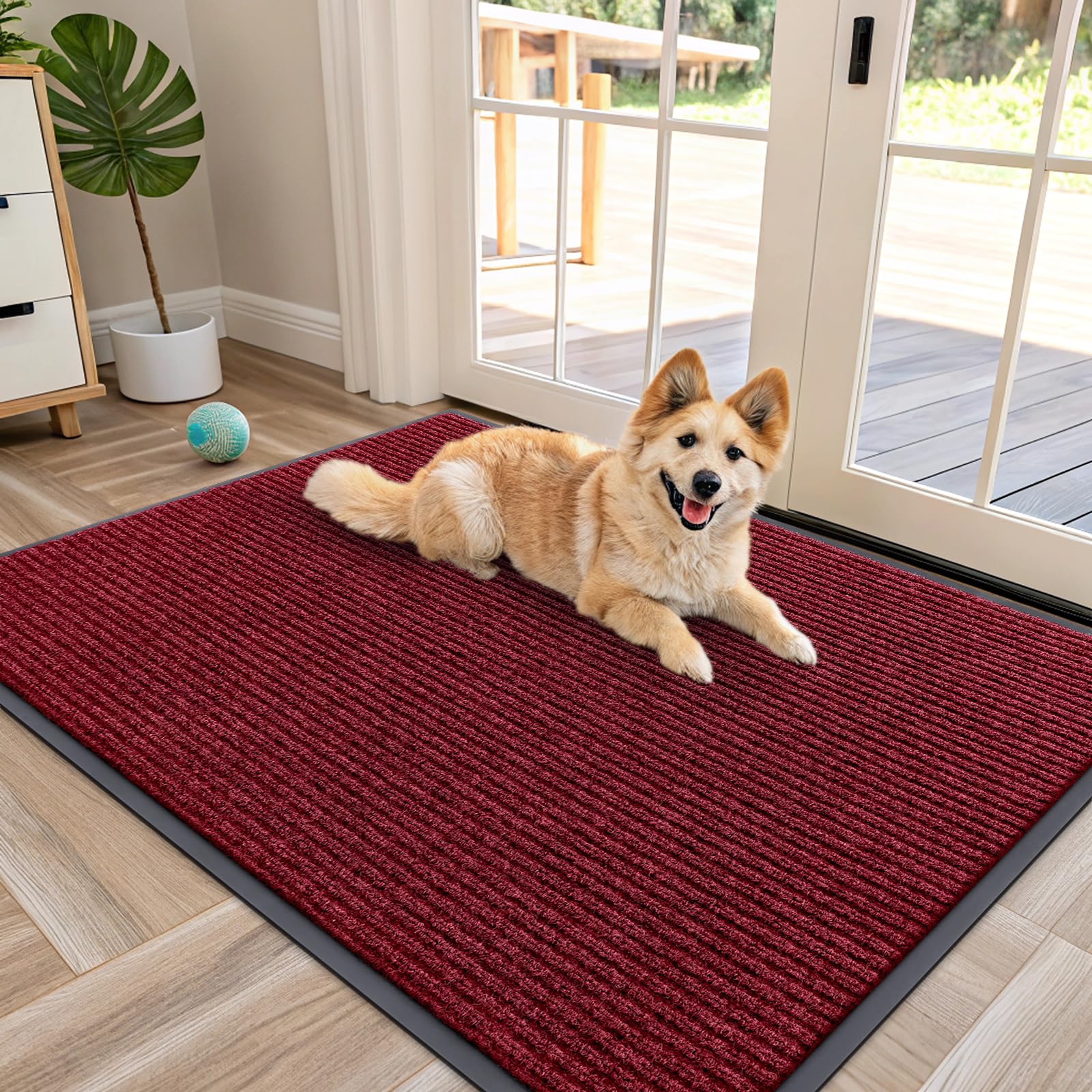Front Door Mat 47x34