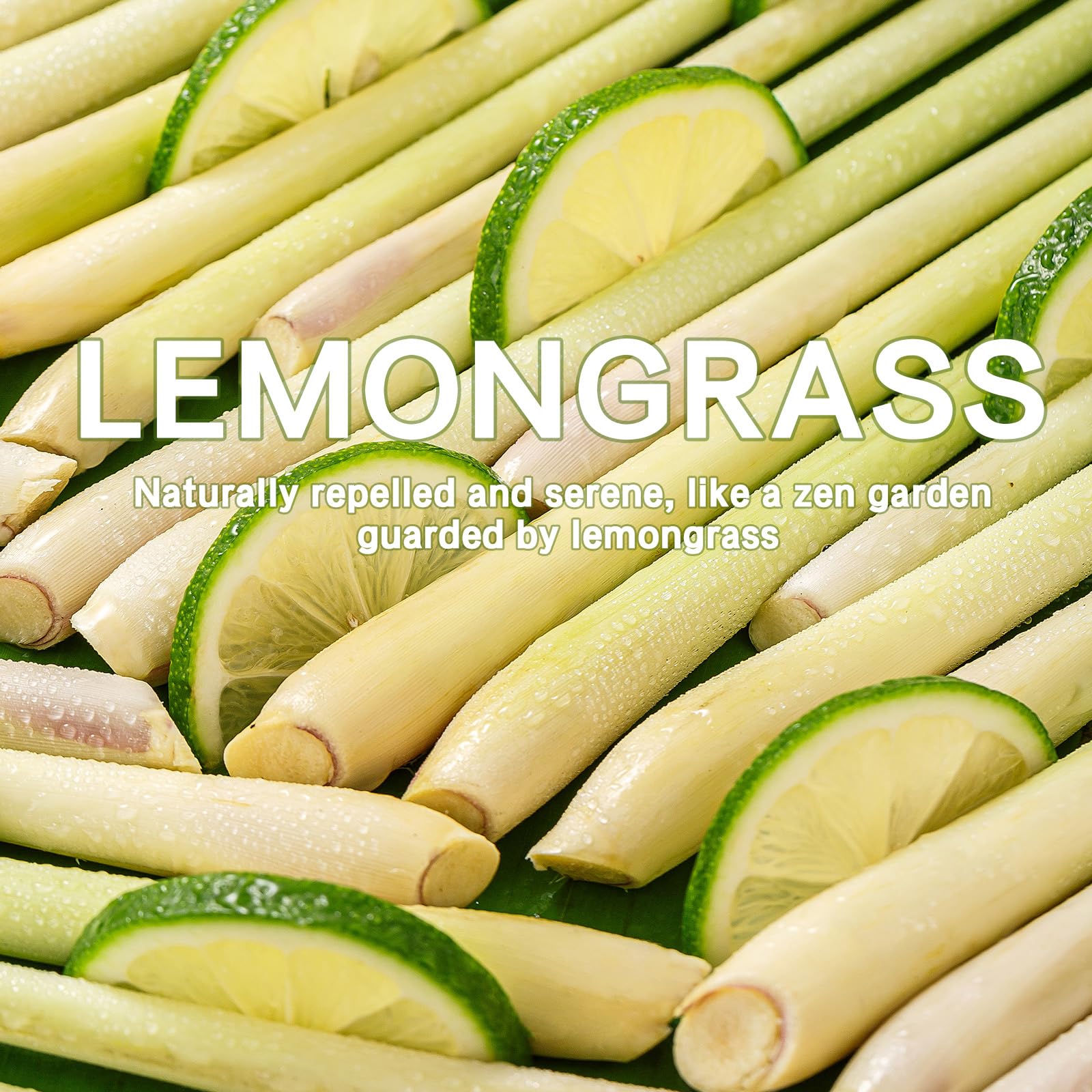 15 Packs Lemongrass Scented Sachets for Drawers and Closets (7.93 Ounce)