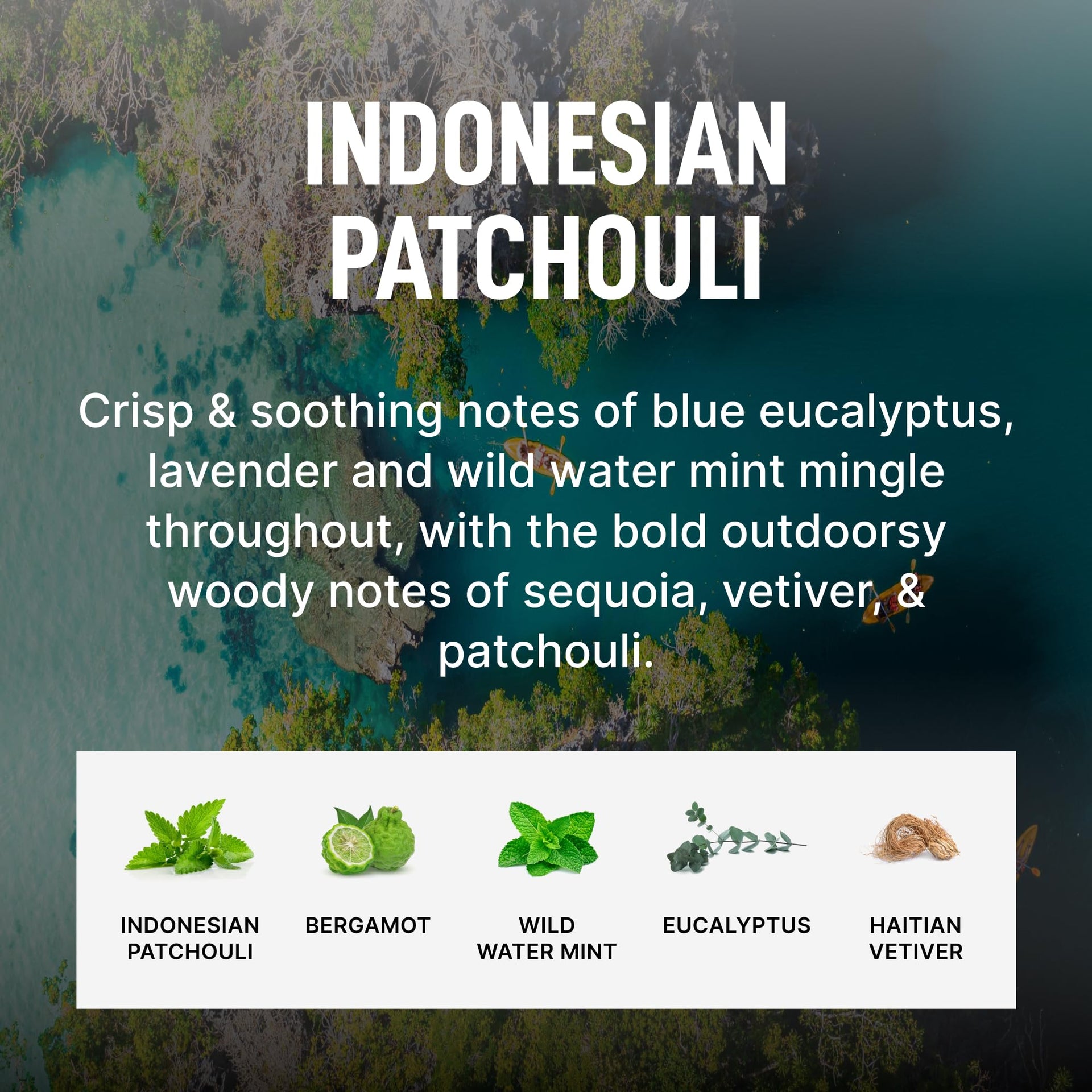 Indonesian Patchouli (4 Count)