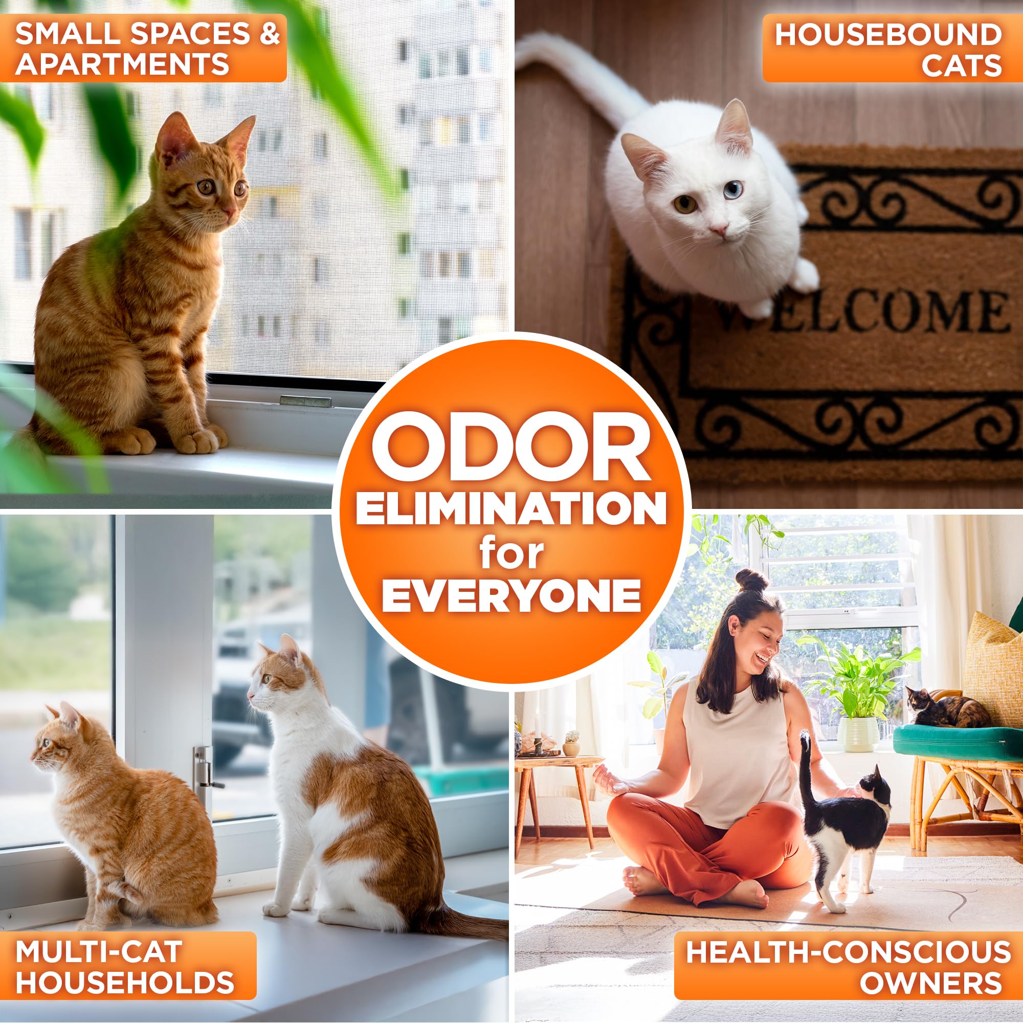 Litterizer Cat Litter Odor Eliminator Additive (16 Ounce)