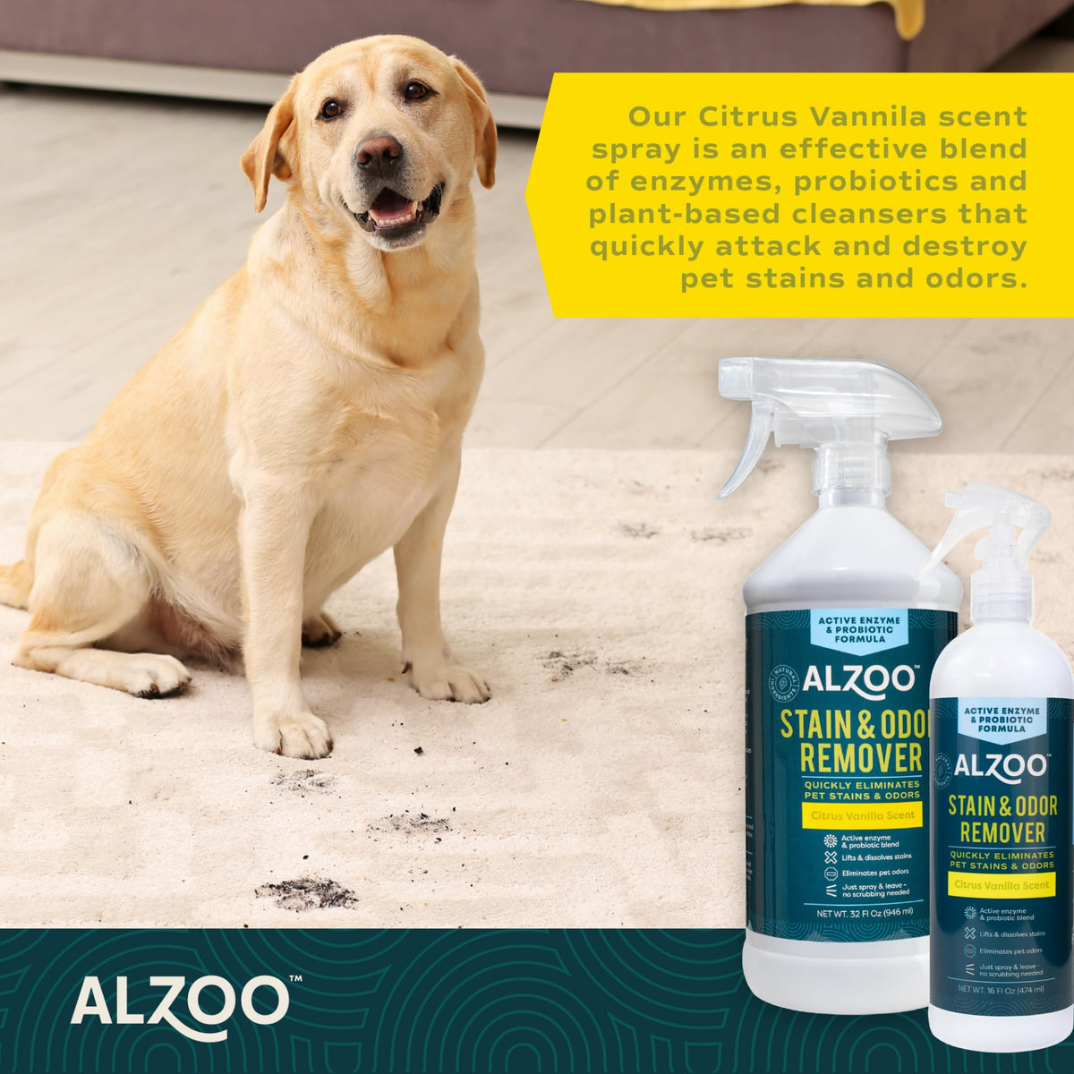 Pet Stain & Odor Remover Spray for Dog & Cat Urine (32 Fl Oz)