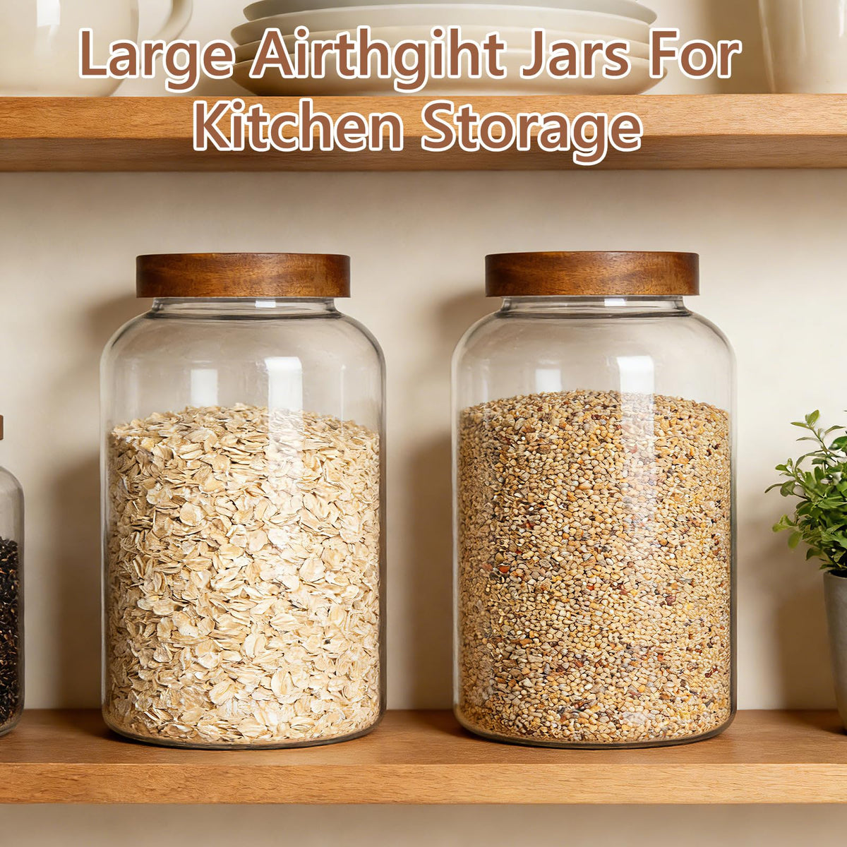 1 Gallon Glass Jars w (2 Count)