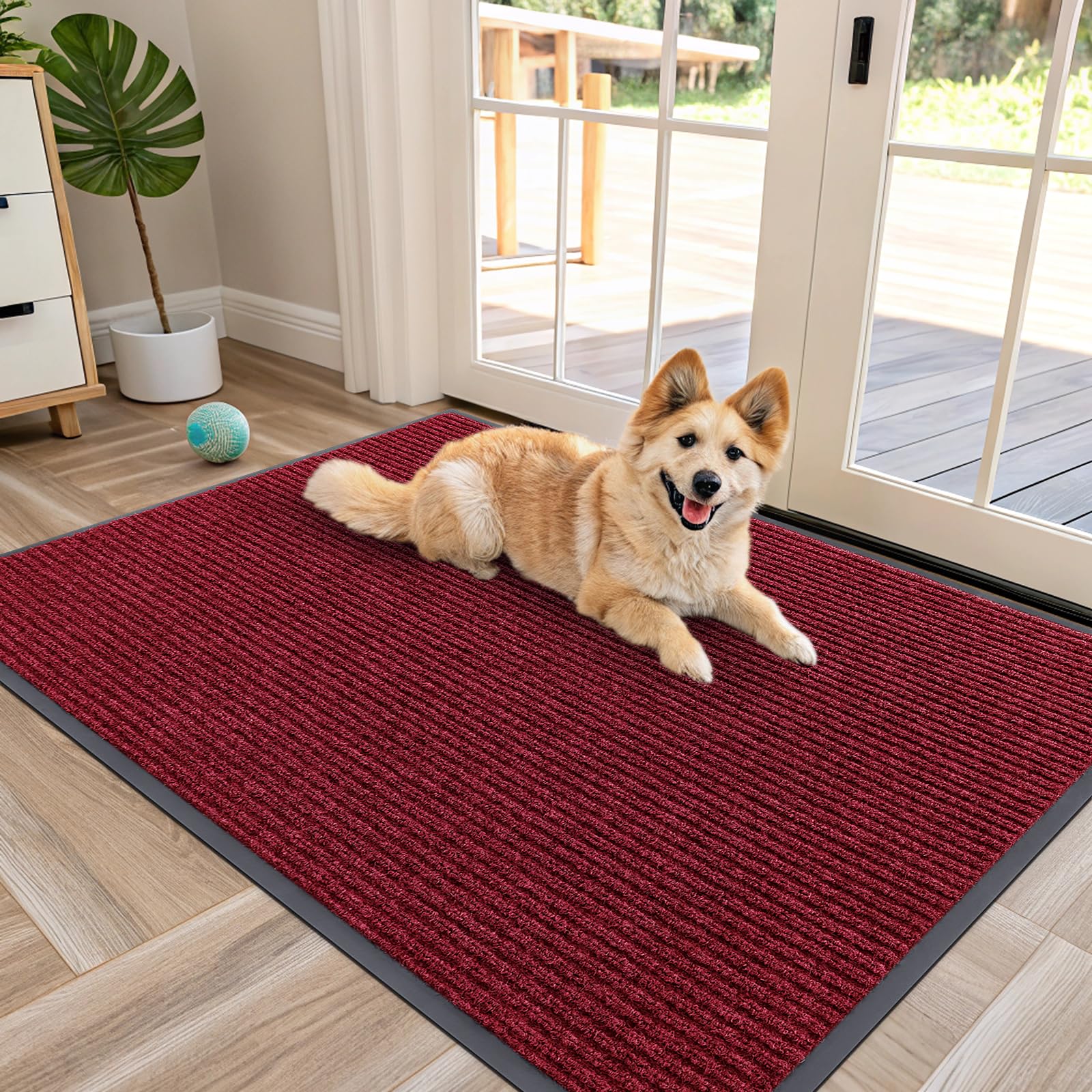 Front Door Mat 47x30