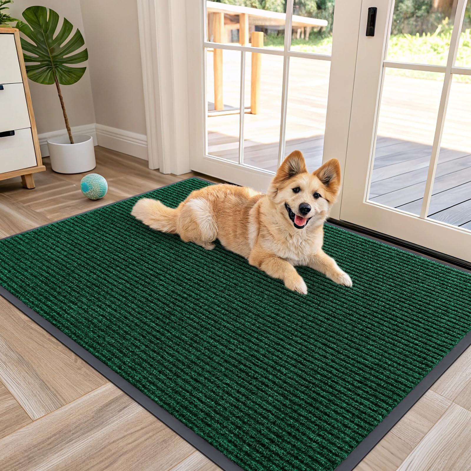 Front Door Mat 47x30
