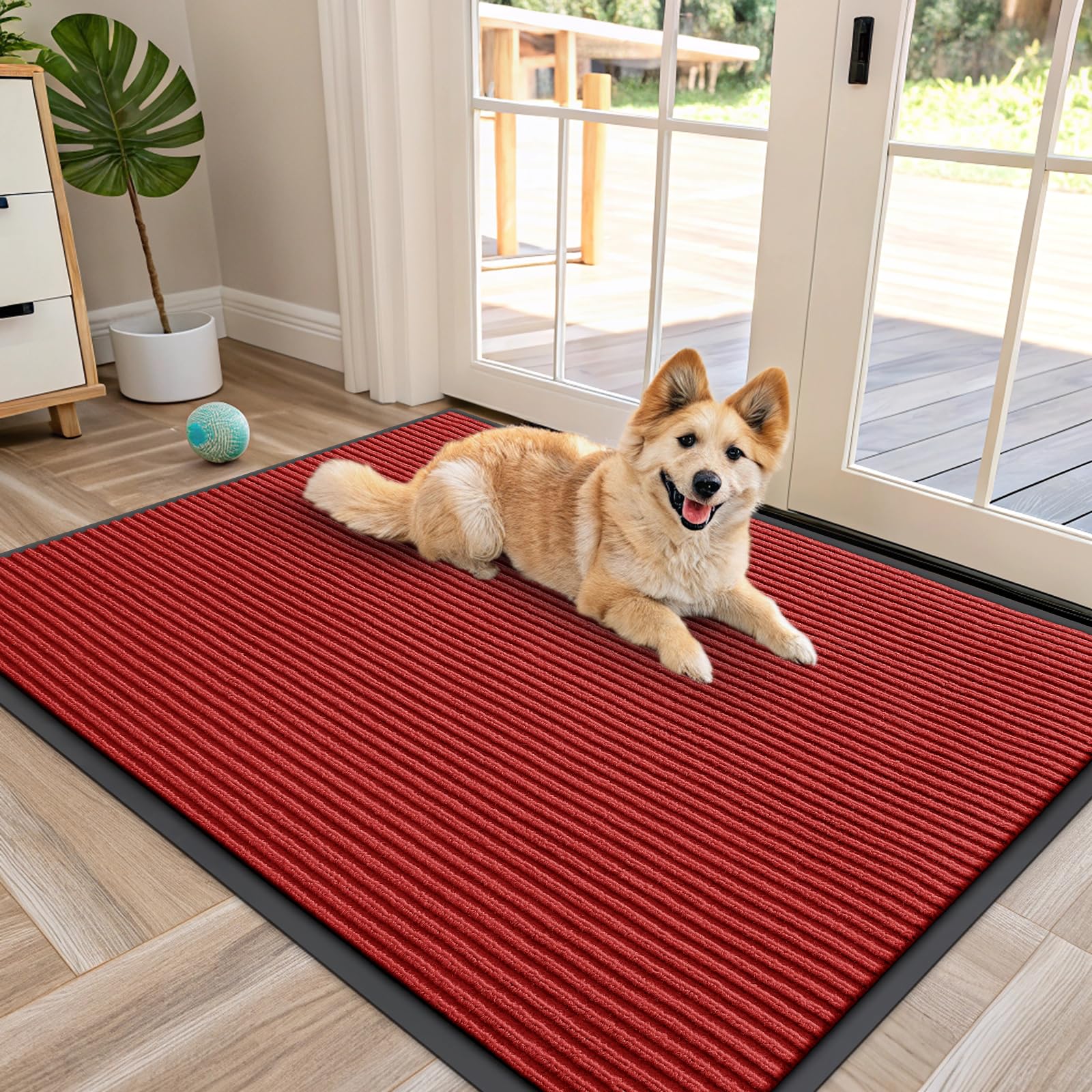 Front Door Mat 47x34