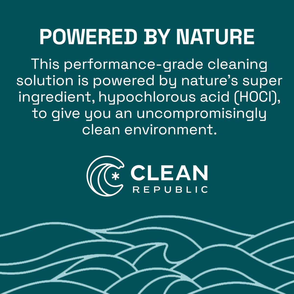 All Purpose Cleaner (512 Fl Oz)