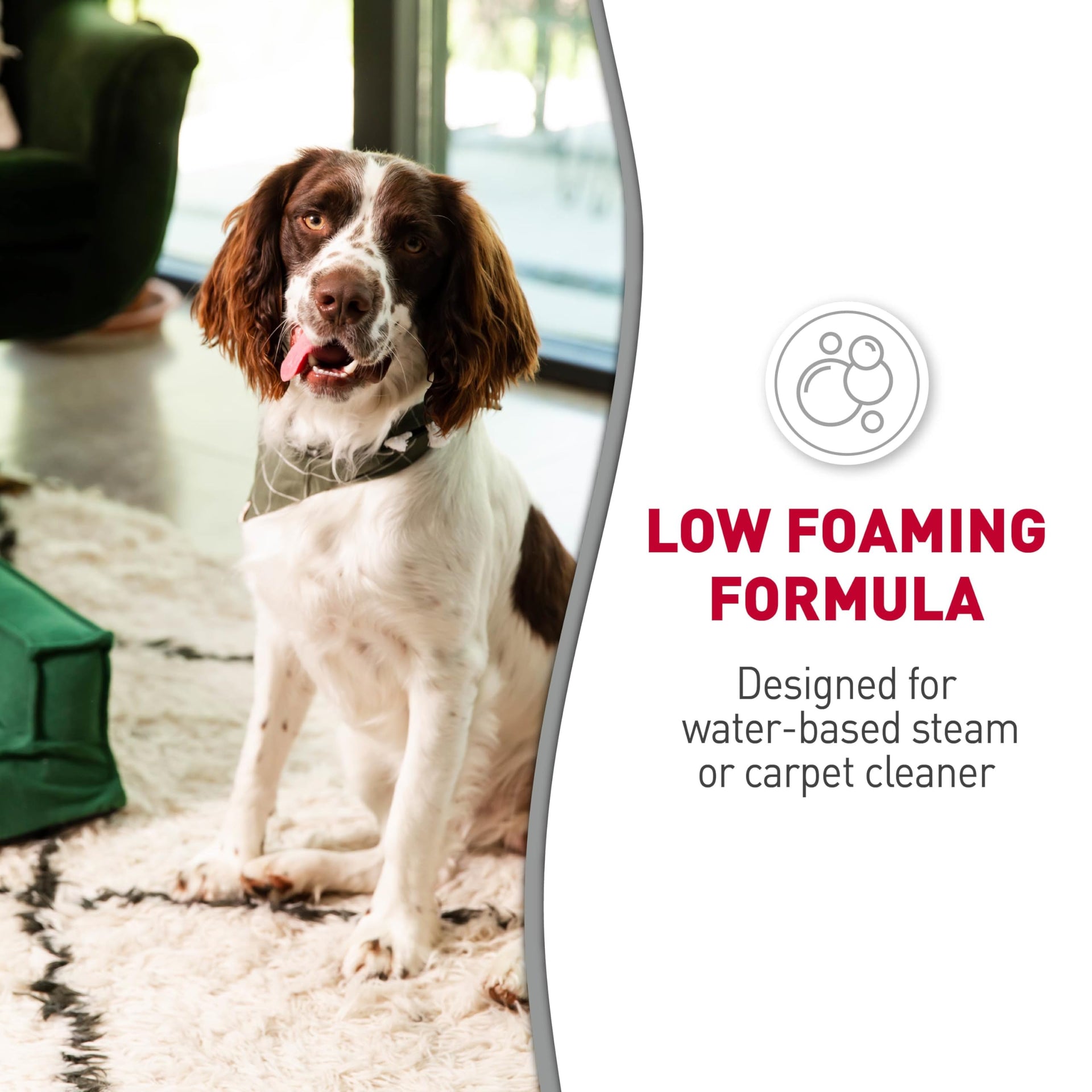 Carpet Shampoo Pet Stain & Odor Remover (64 Ounce) - ModHome Supplies