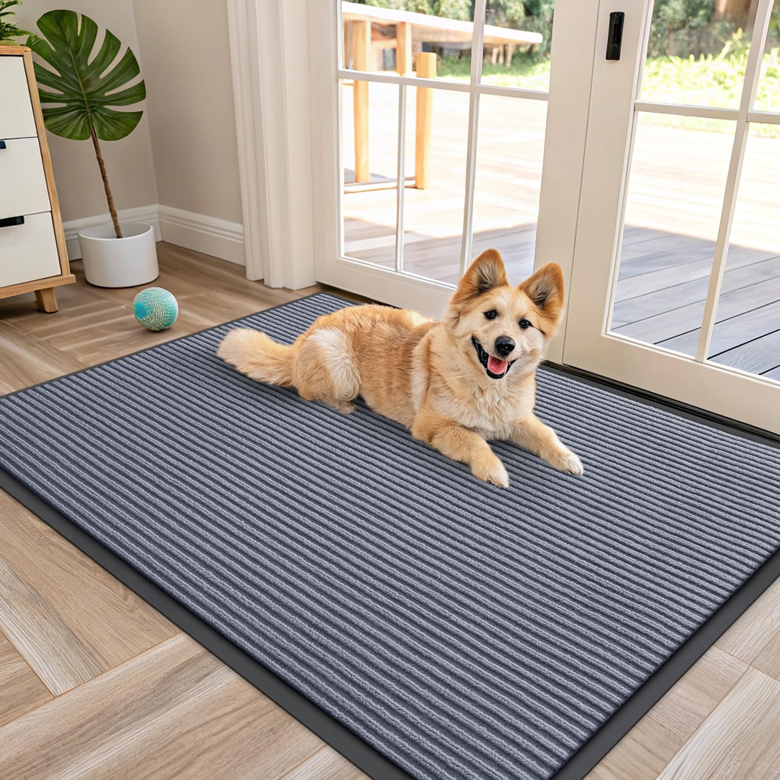 Front Door Mat 47x30