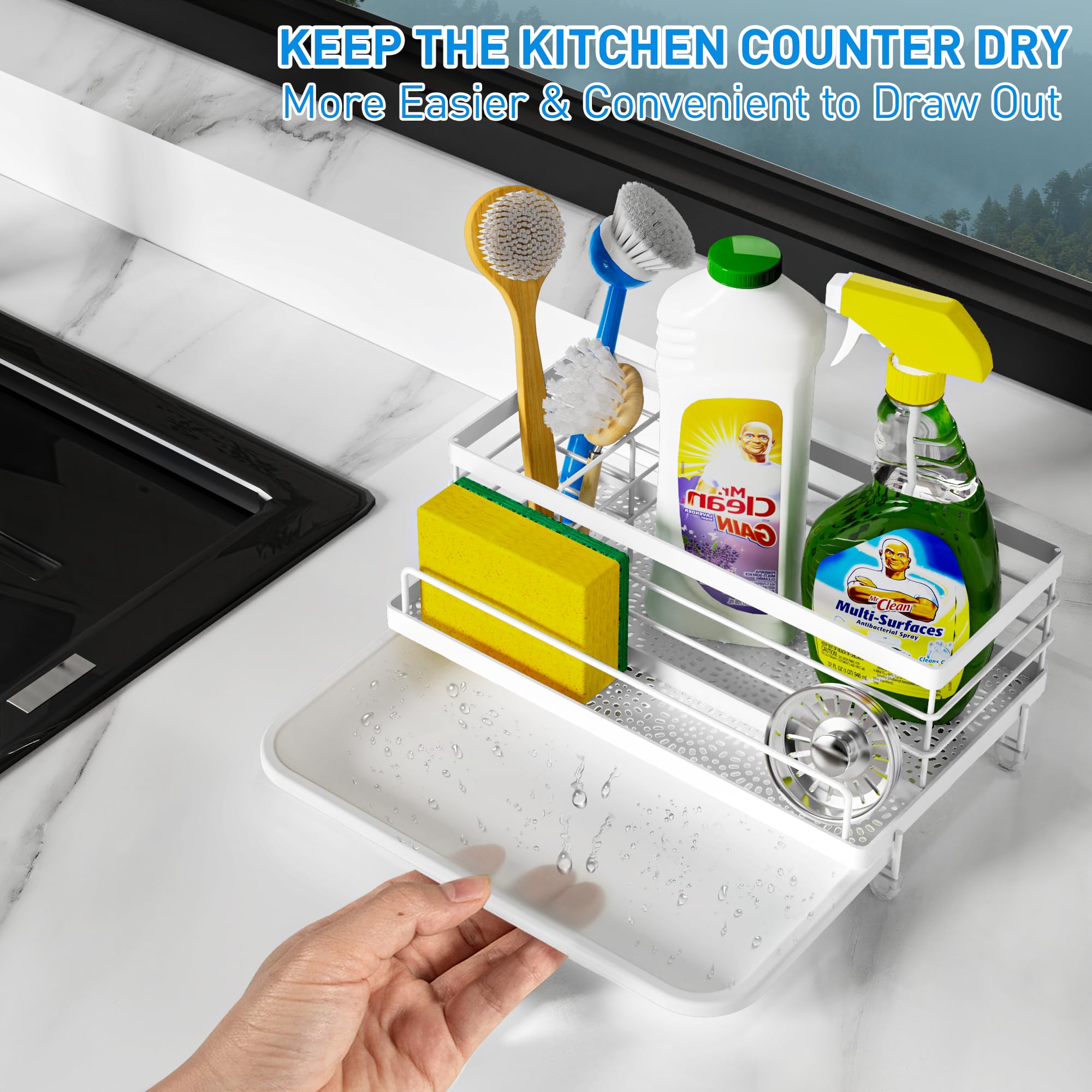Sponge Holder for Kitchen