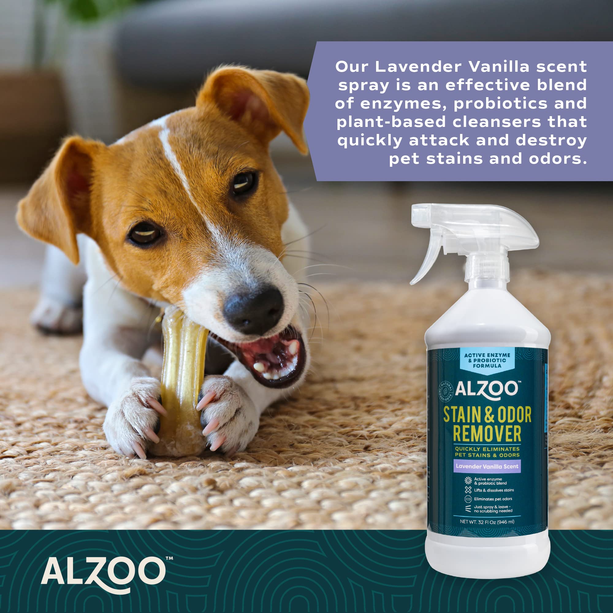 Pet Stain & Odor Remover Spray for Dog & Cat Urine (32 Fl Oz)