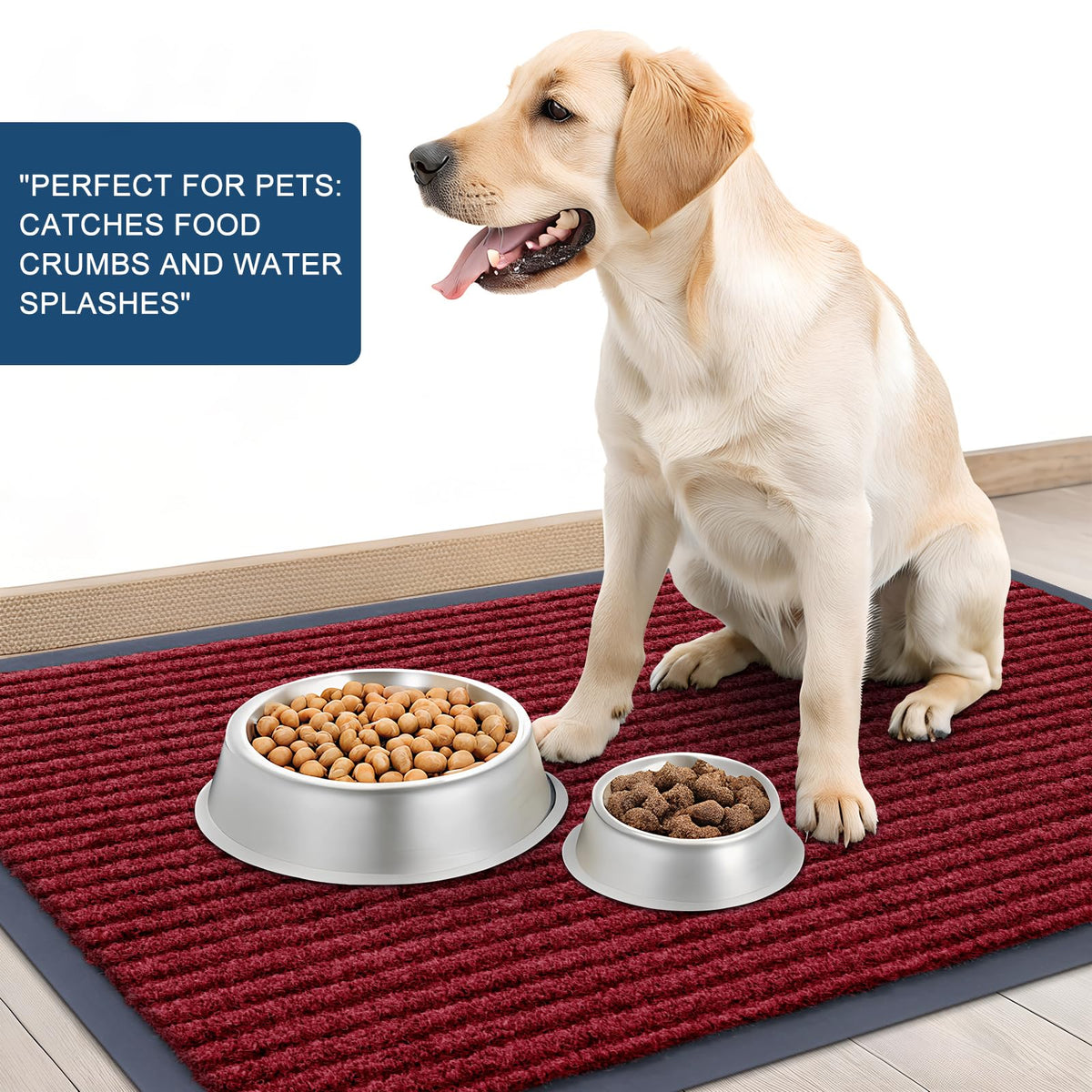 Front Door Mat 59x20
