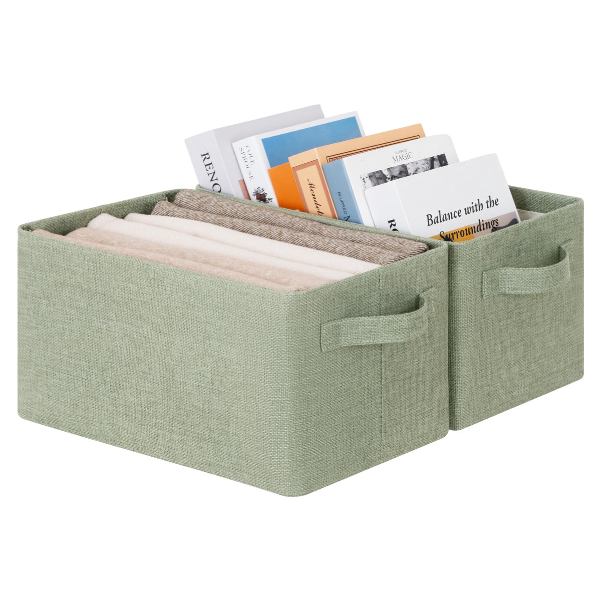 Storage Bins for Closet (2 Count)