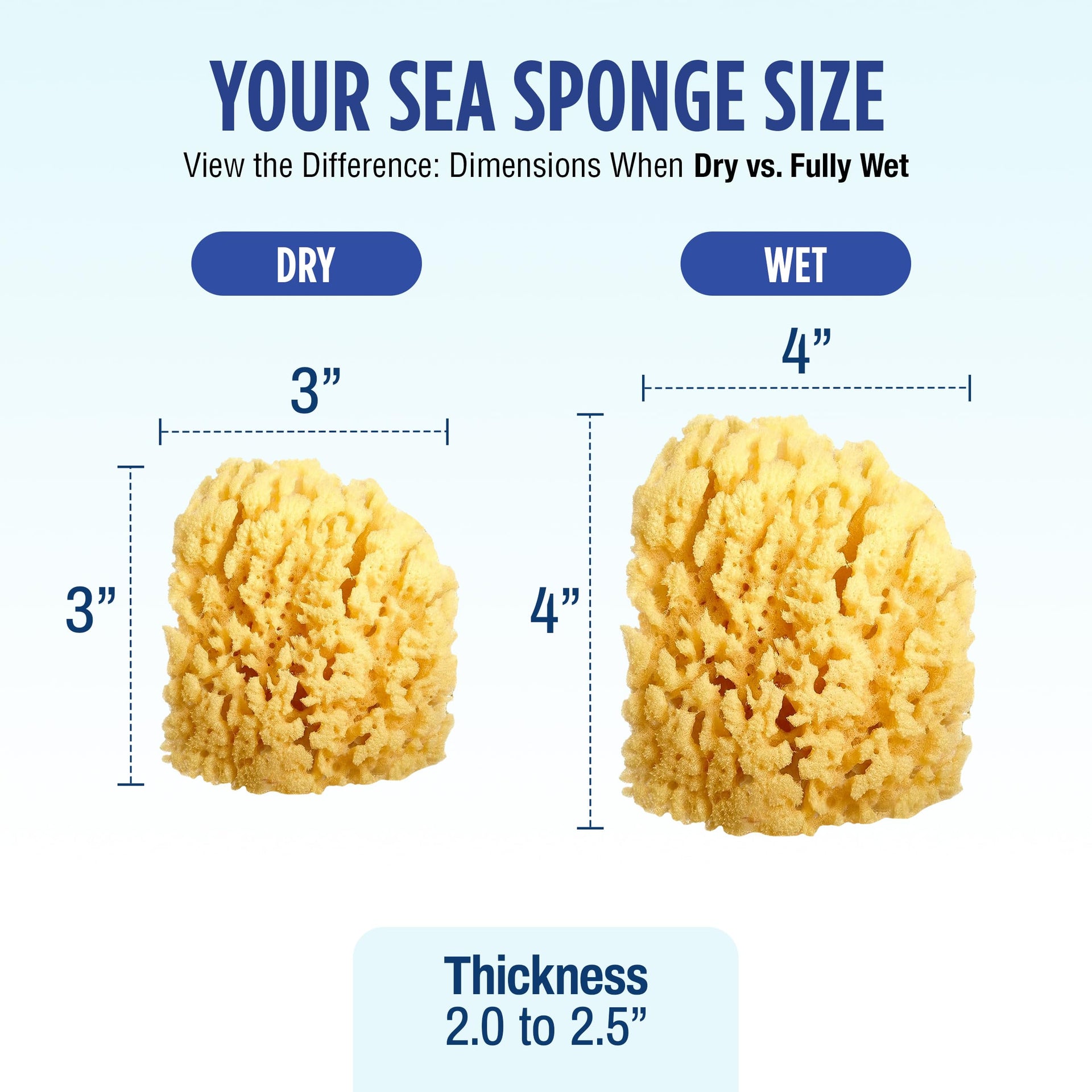 1 Count, 4 Inch) Natural Yellow Sea Bath Sponge, Natural Baby Bath Sponge for Newborns and Kids, Soft When Wet, Absorbent, Biodegradable, Hypoallergenic