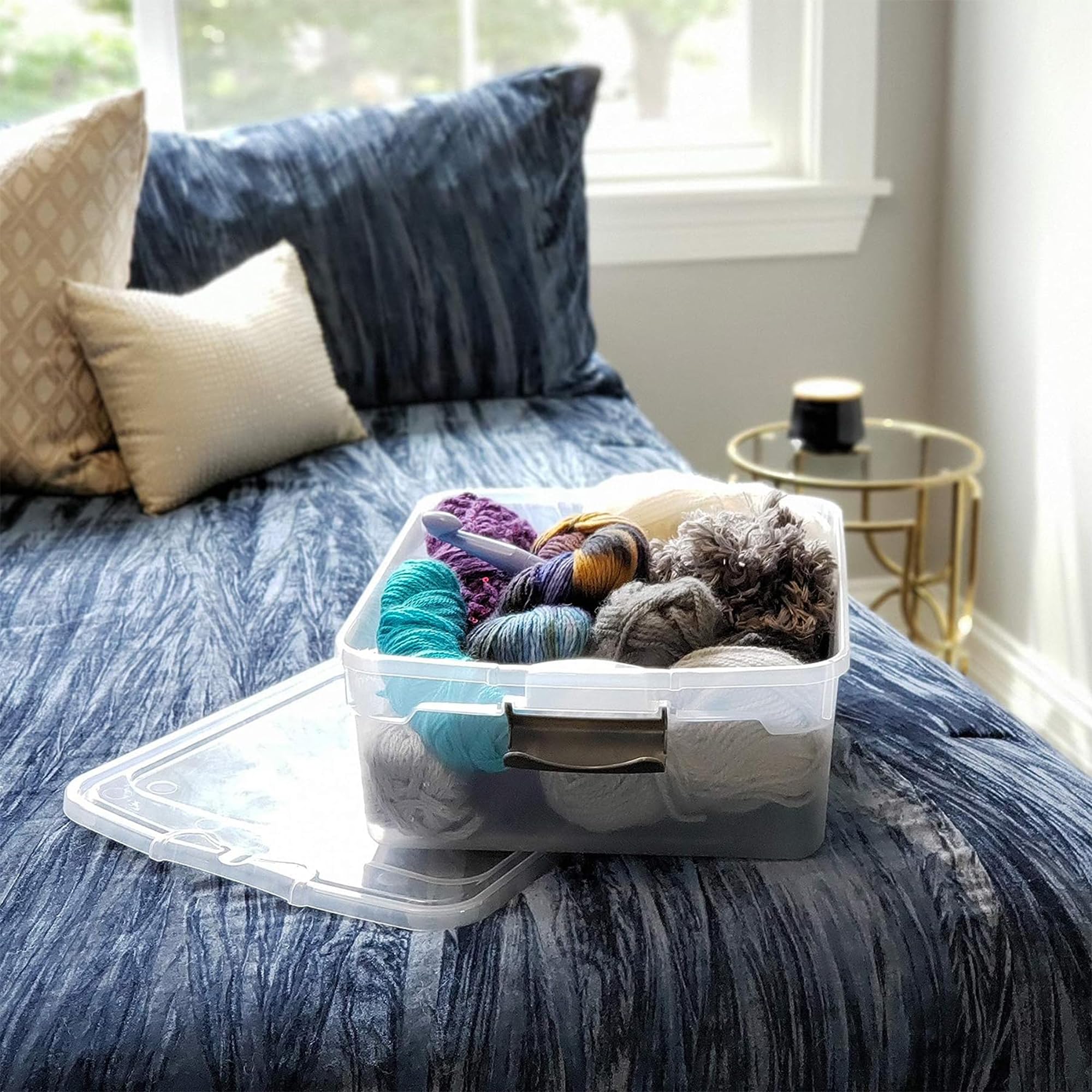 Clear Plastic Storage Bins with Latching Lids (4 Count)