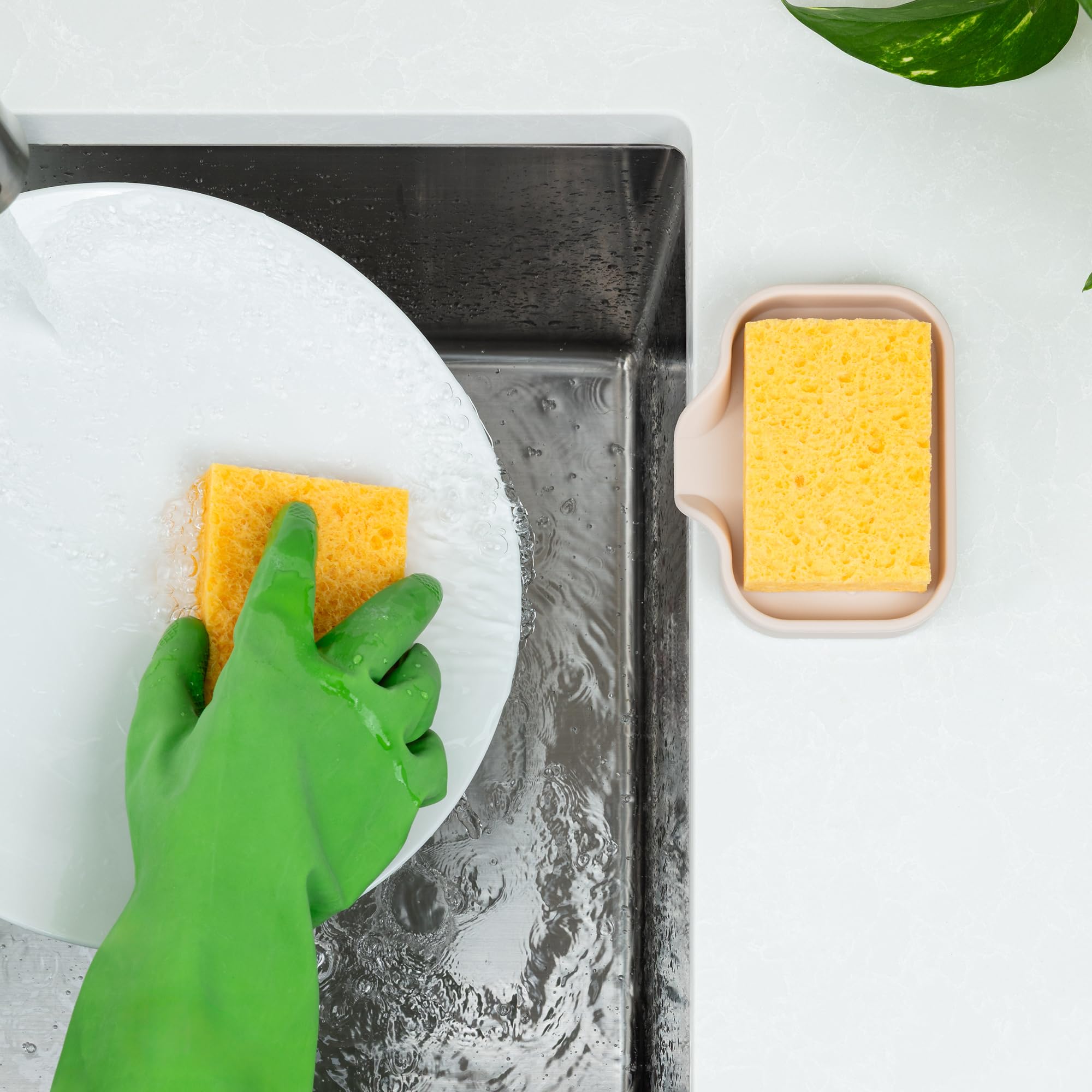 Small Silicone Sponge Holder