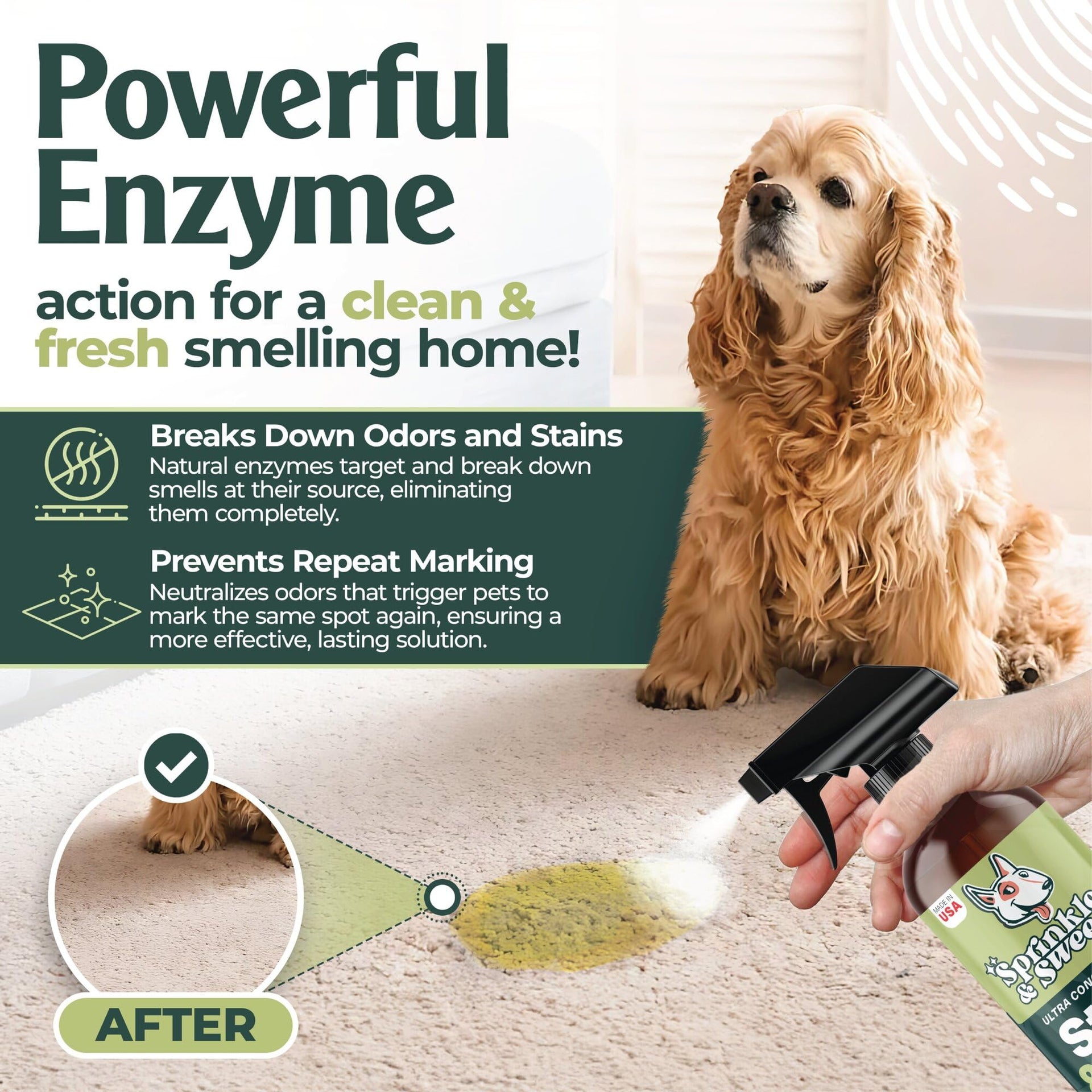 Pet Stain & Odor Enzyme Spray