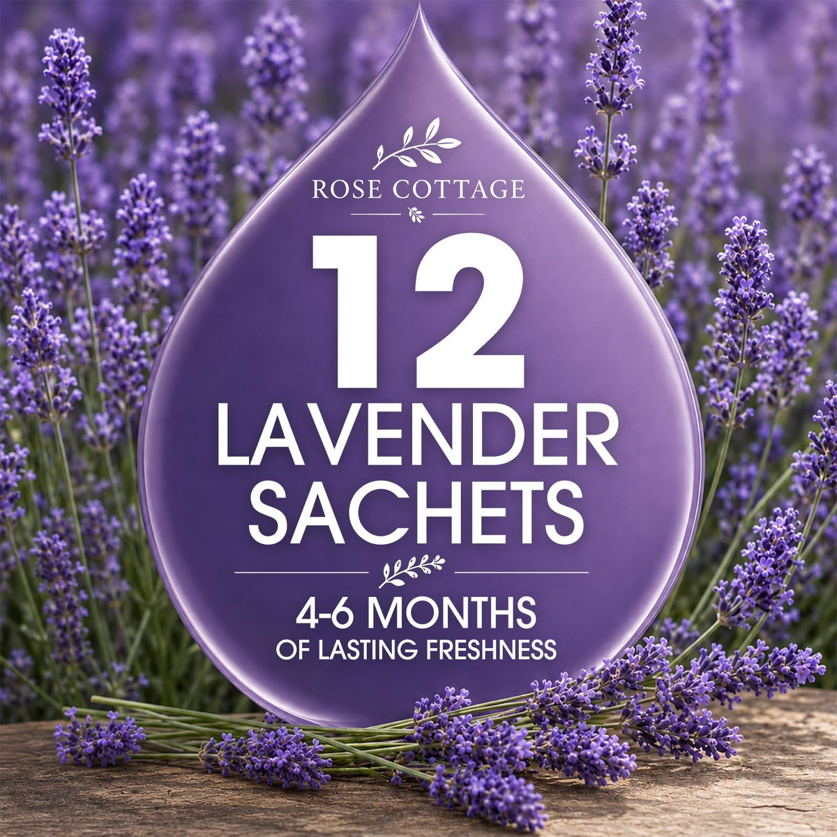 Large 12 Packs Lavender Hanging Scented Sachets Long (12 Count)