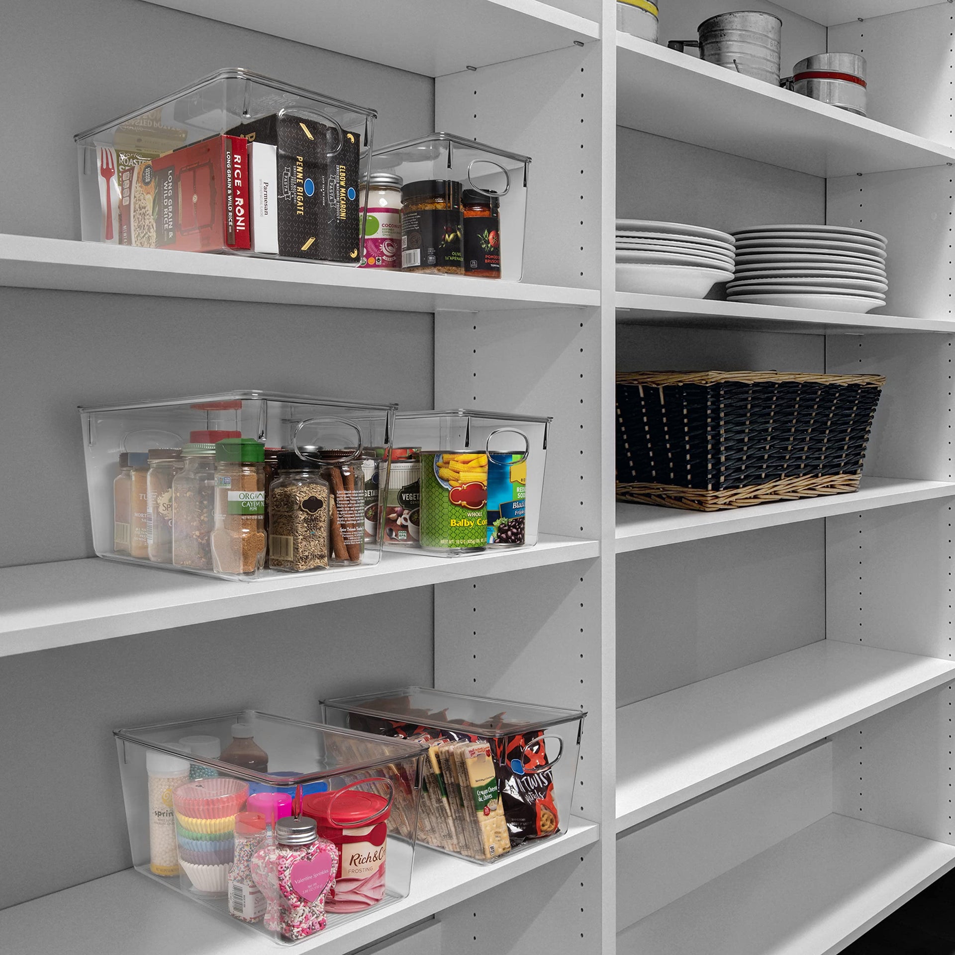 Plastic Storage Bins With lids (8 Count)