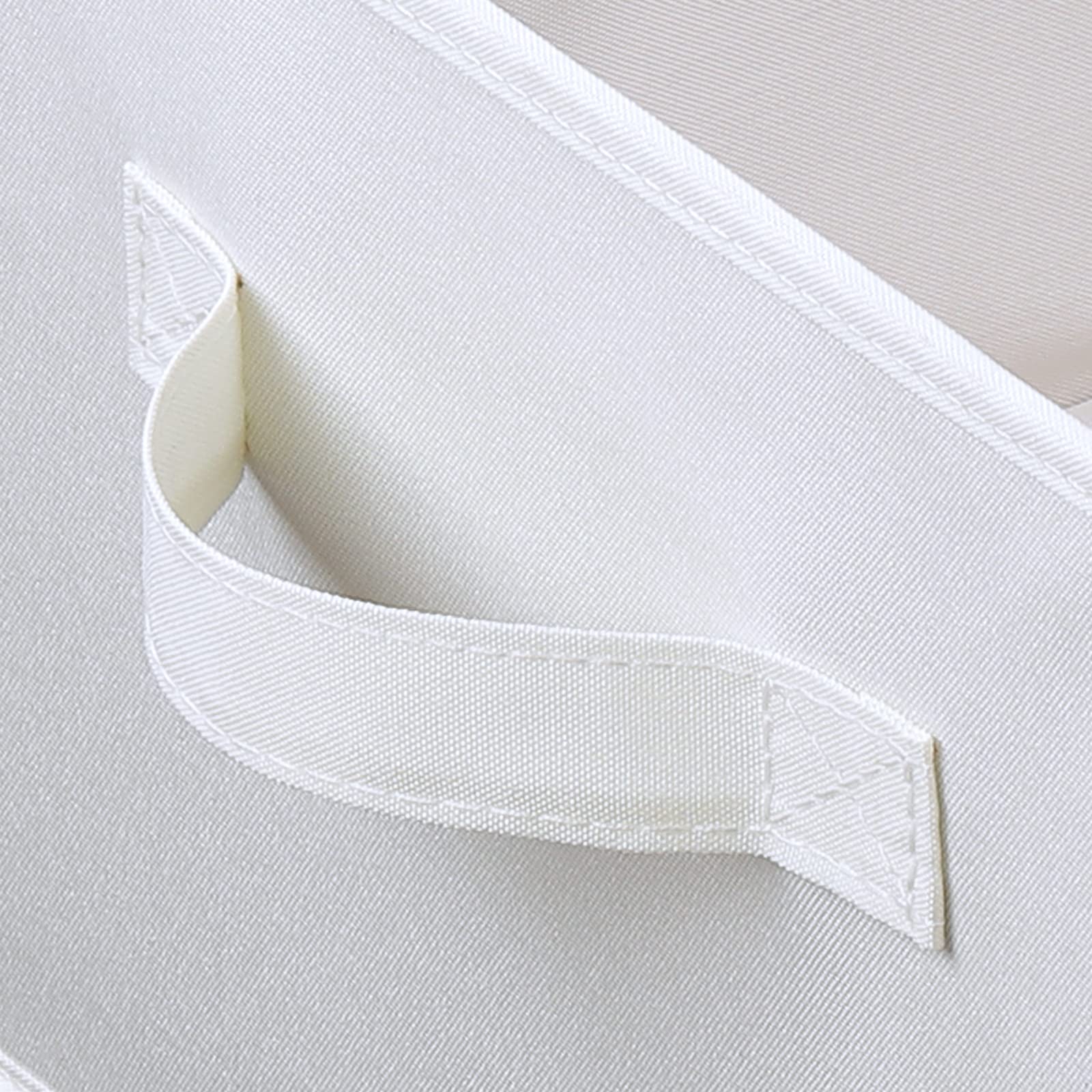 Storage Bins with Lids for Organizing (2 Count)