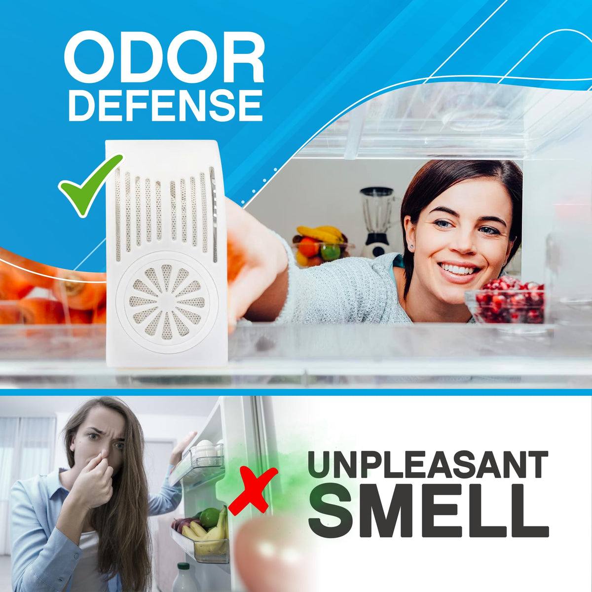 Refrigerator Deodorizer