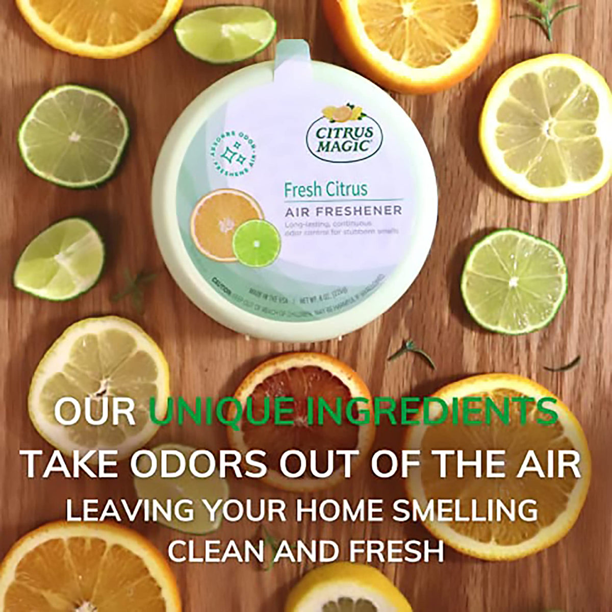Solid Air Fresheners (24 Ounce)