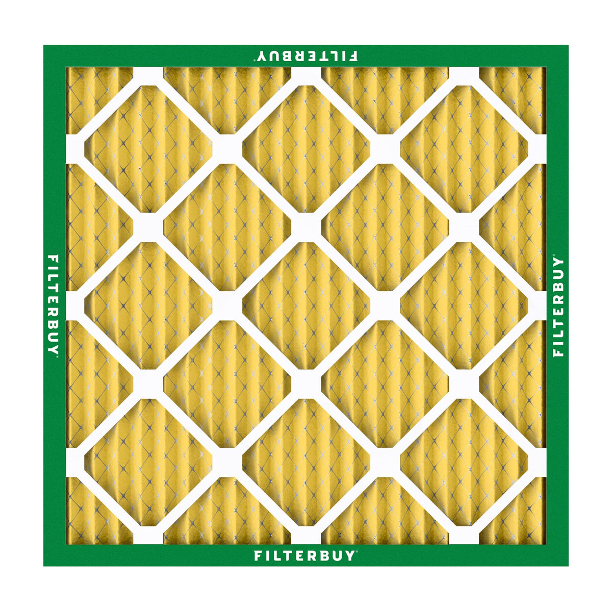 30x30x1 Air Filter MERV 11 Pet & Allergy Defense (4 Count)