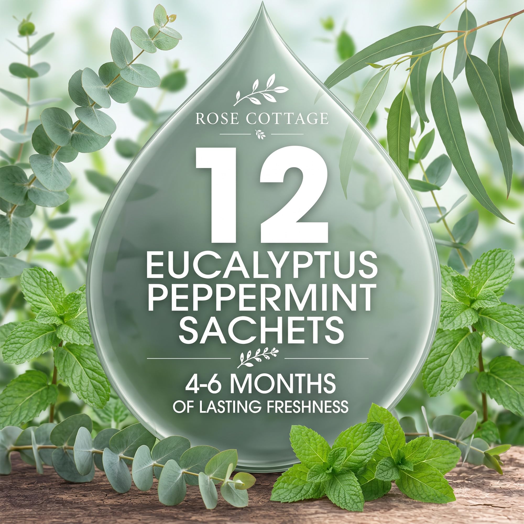Large 12 Packs Eucalyptus Peppermint Hanging Scented Sachets Long (12 Count)