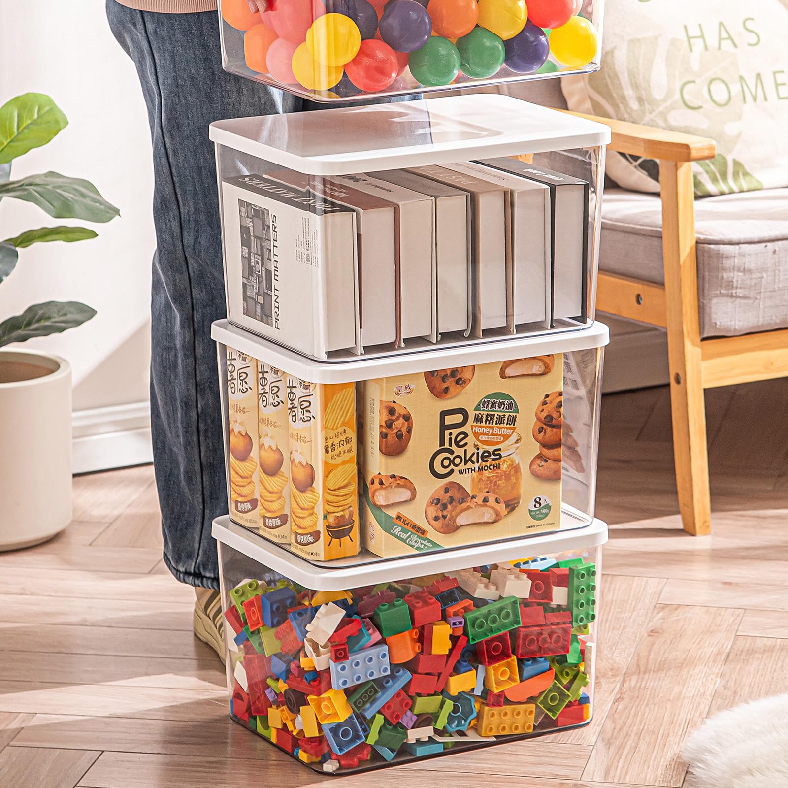 Clear plastic storage bins with LIDS (4 Count)