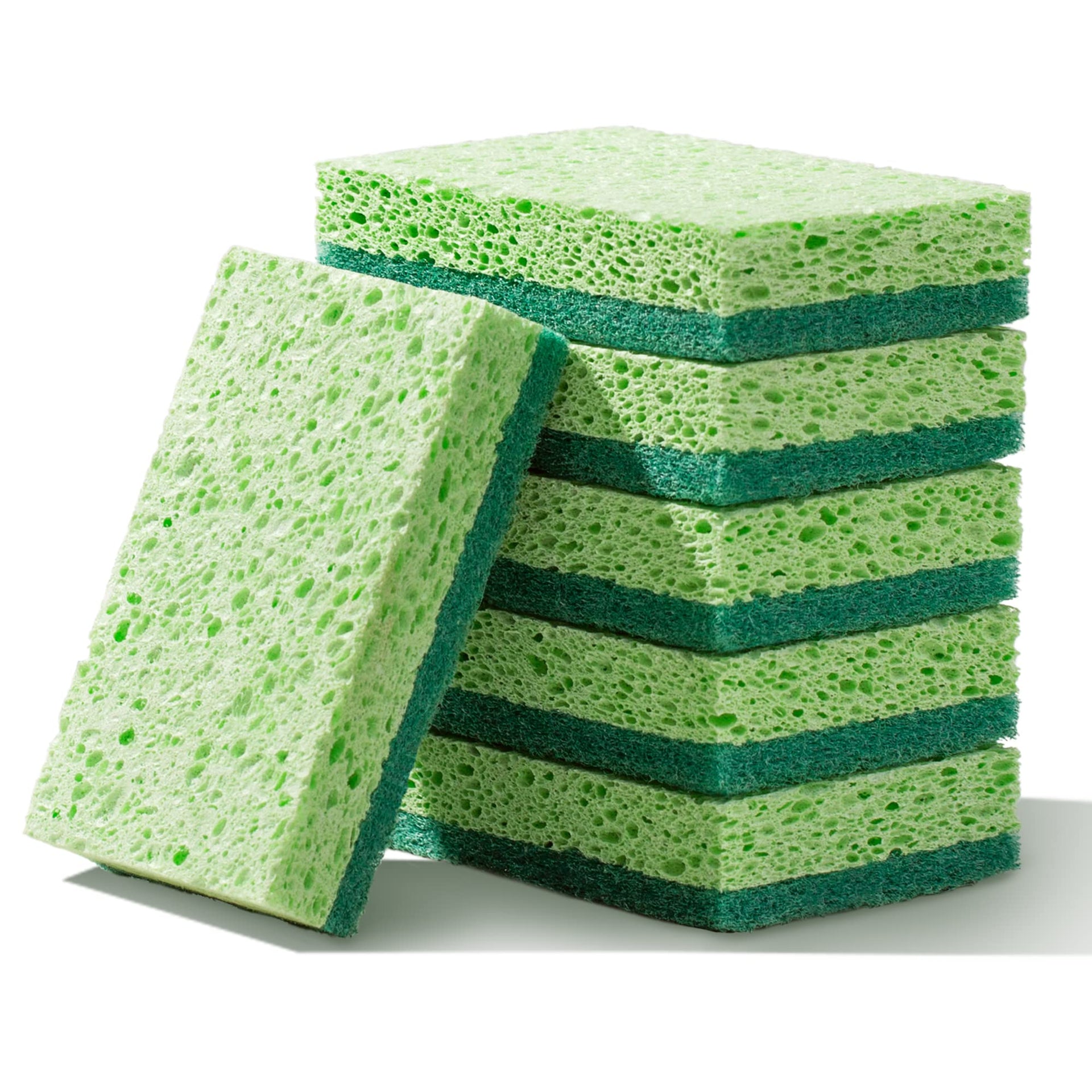 Clean Sponges (6 Count)