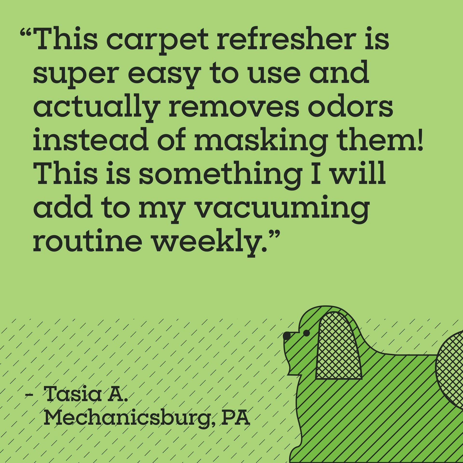 Carpet Deodorizer Powder (48 Ounce)