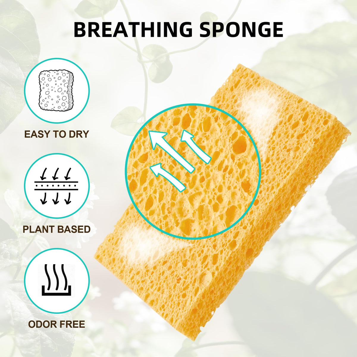 Dish Sponge Scrubber (24 Count)