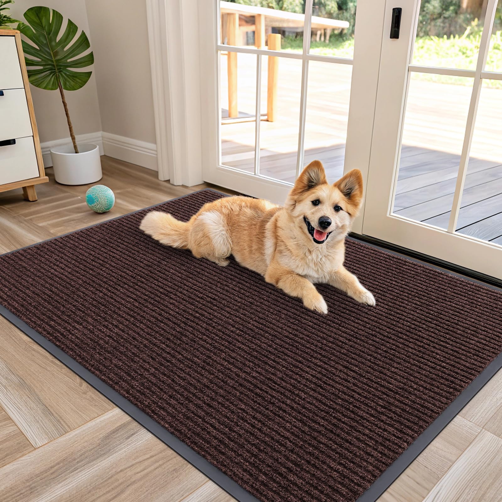 Front Door Mat 47x30