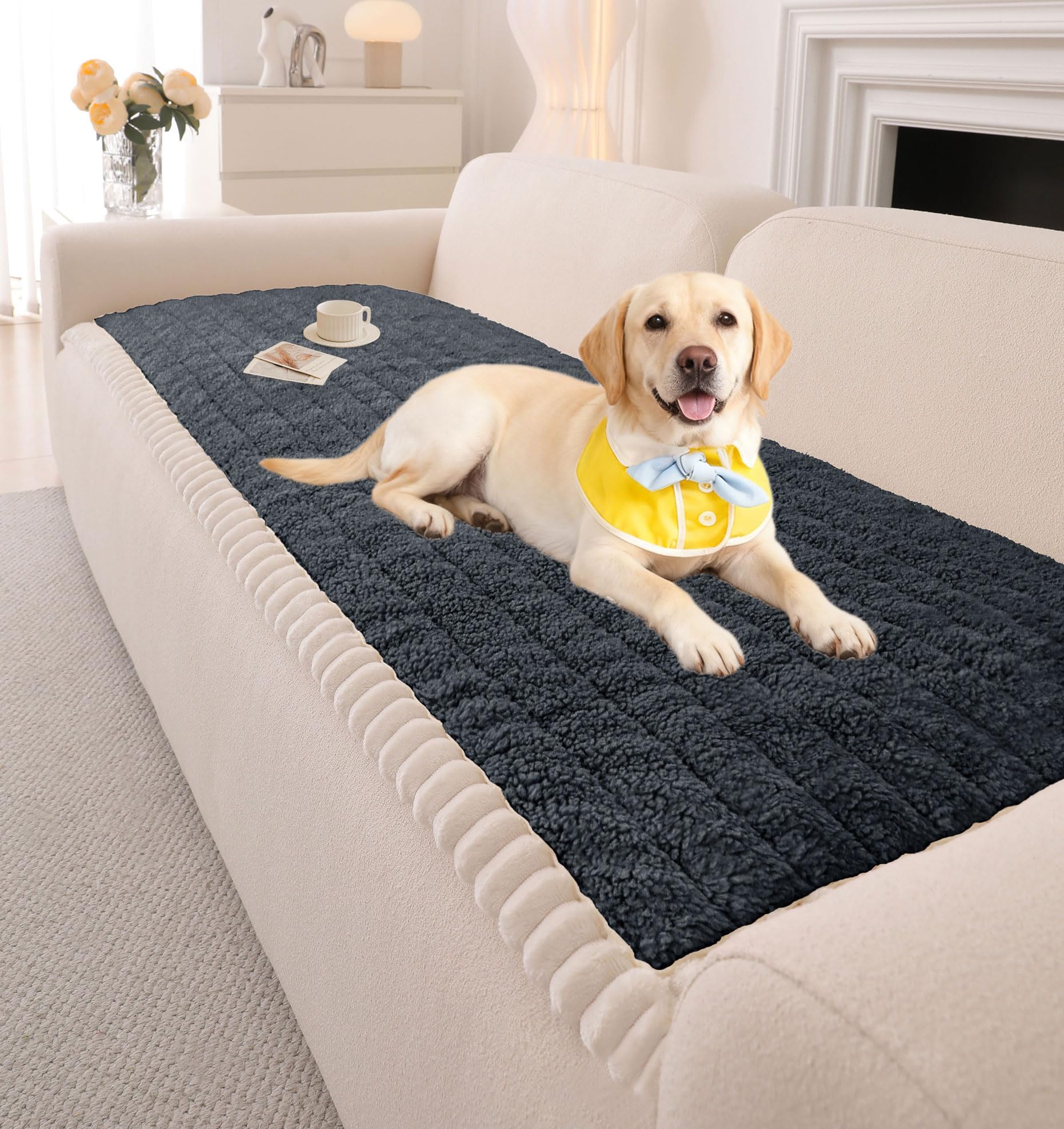 Couch Cover for Dogs Washable (3 Count)