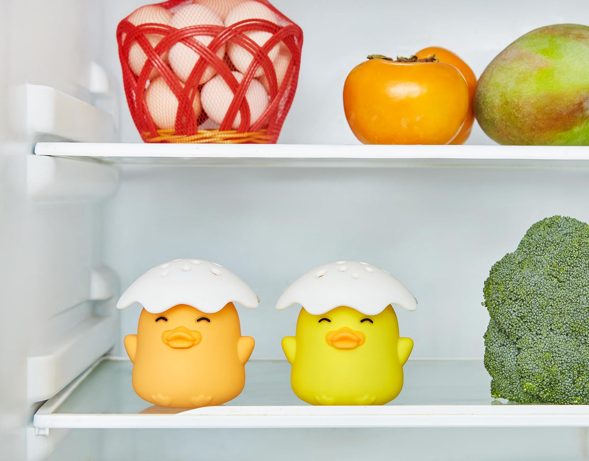 Duck Refrigerator Baking Soda Deodorizer Holder