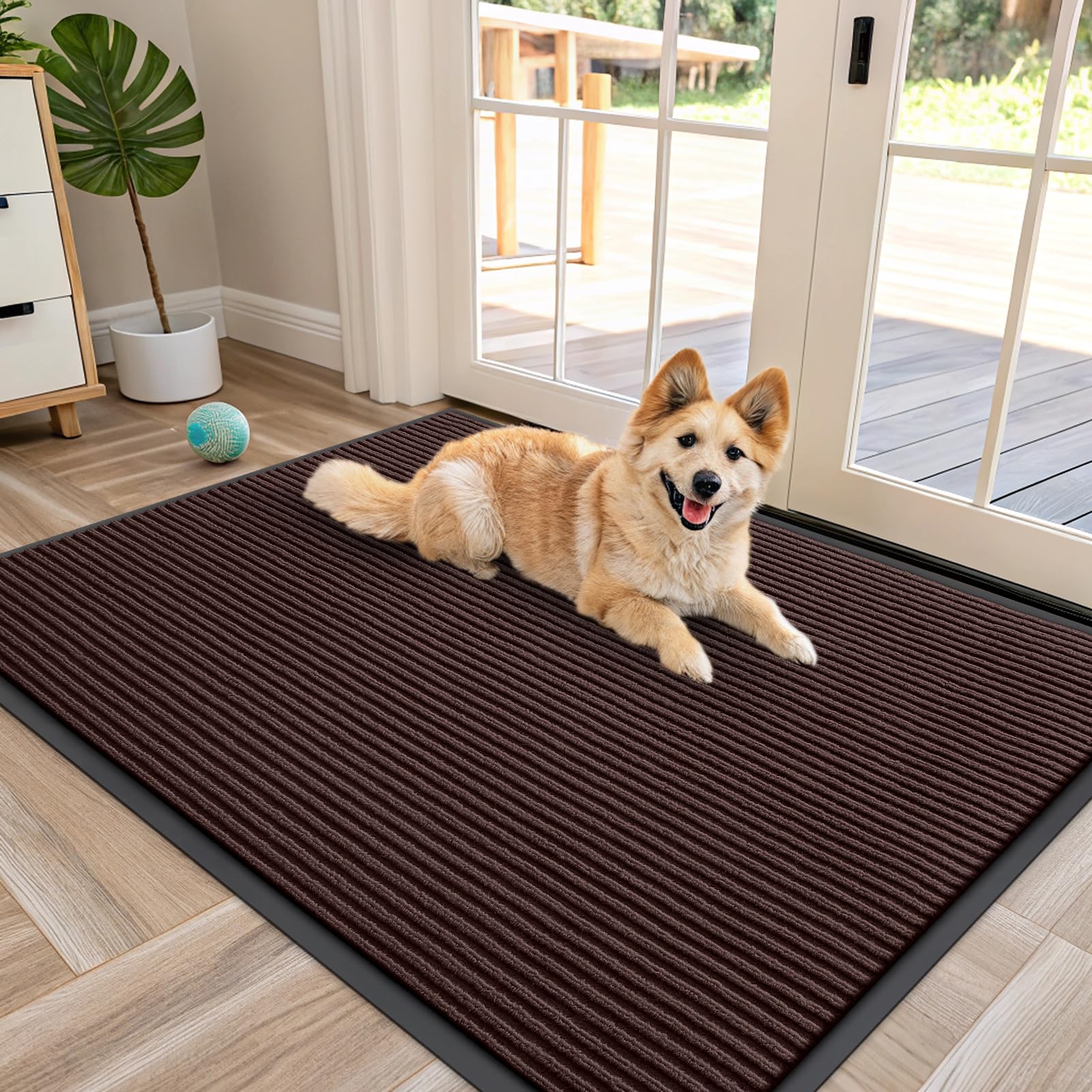 Front Door Mat 47x34